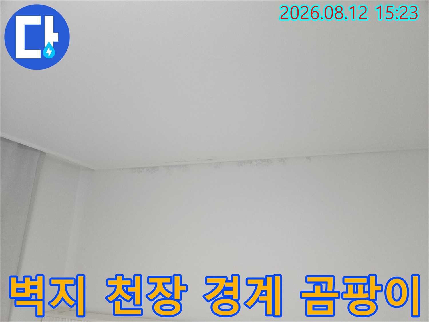 천장 끝부분-물샘으로 인해 발생한 짙은 색의 곰팡이와 얼룩 자국