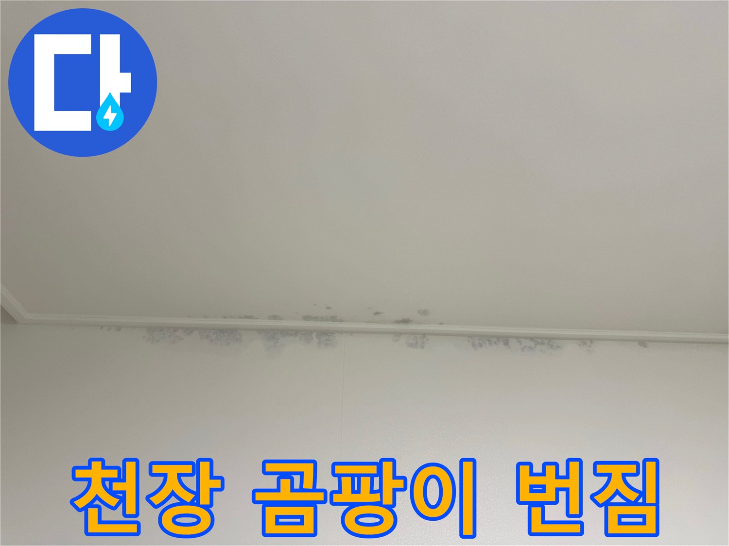 천장 모서리 부근-곰팡이가 발생한-상태
