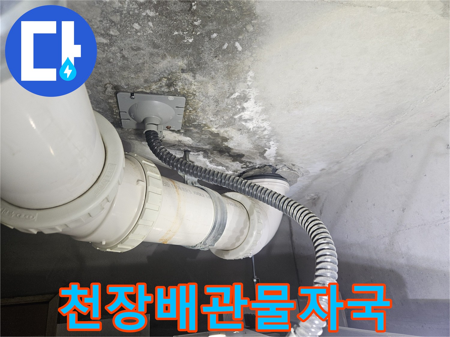 고양시-덕양구-화장실-천장-배관-주변-습기-및-오염-상태