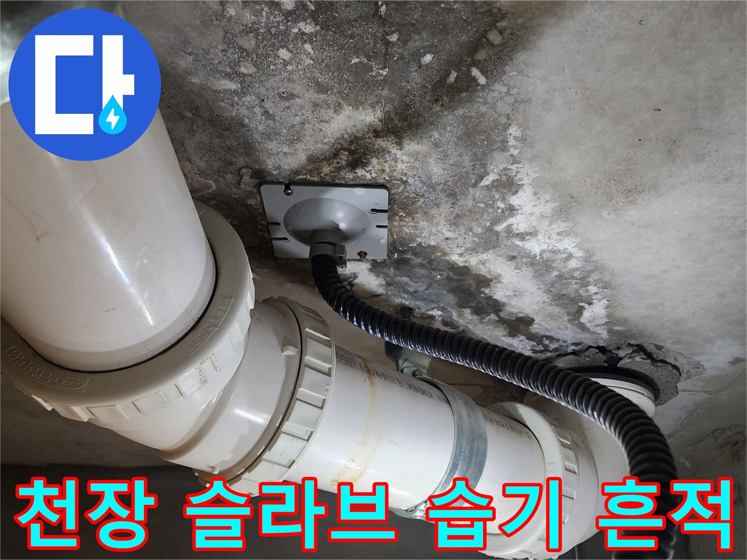 배관-주변-슬라브-면의-물자국-및-습기-상태