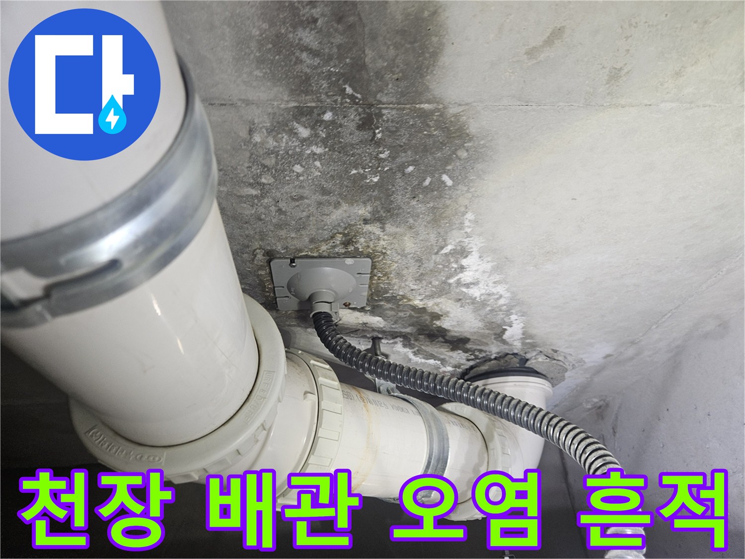 배관 주변의 곰팡이와 습기 흔적을 보여주는 사진