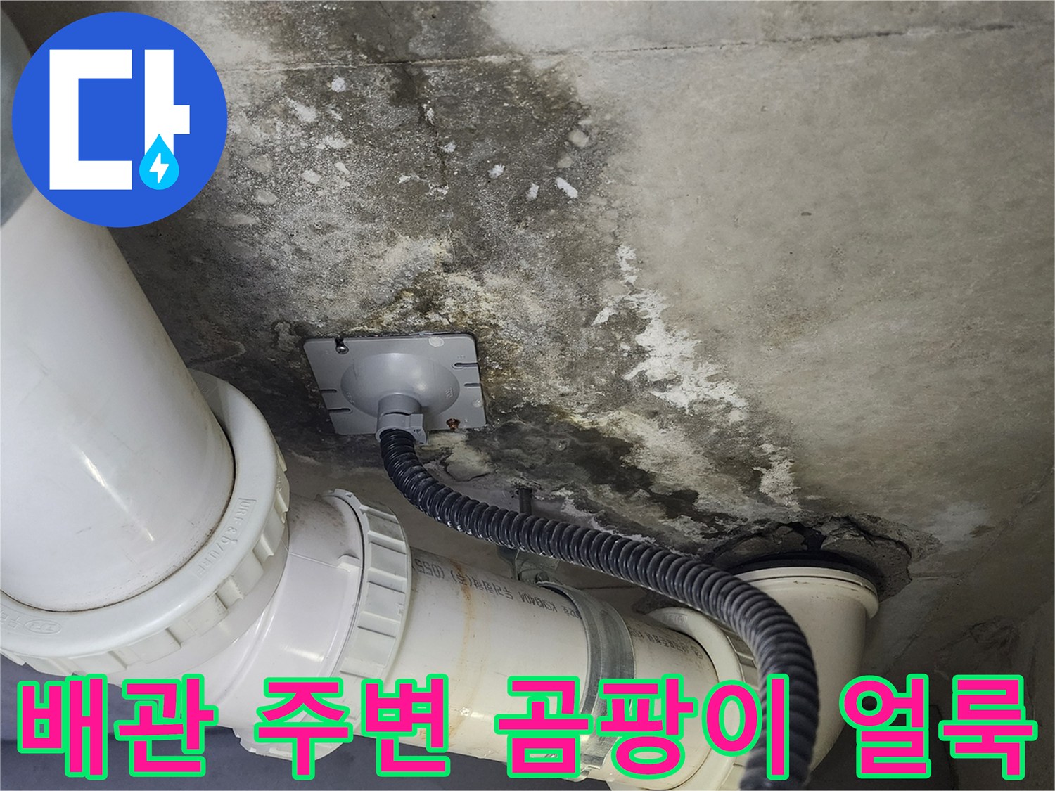 천장-배관-주변의-심한-곰팡이와-물자국