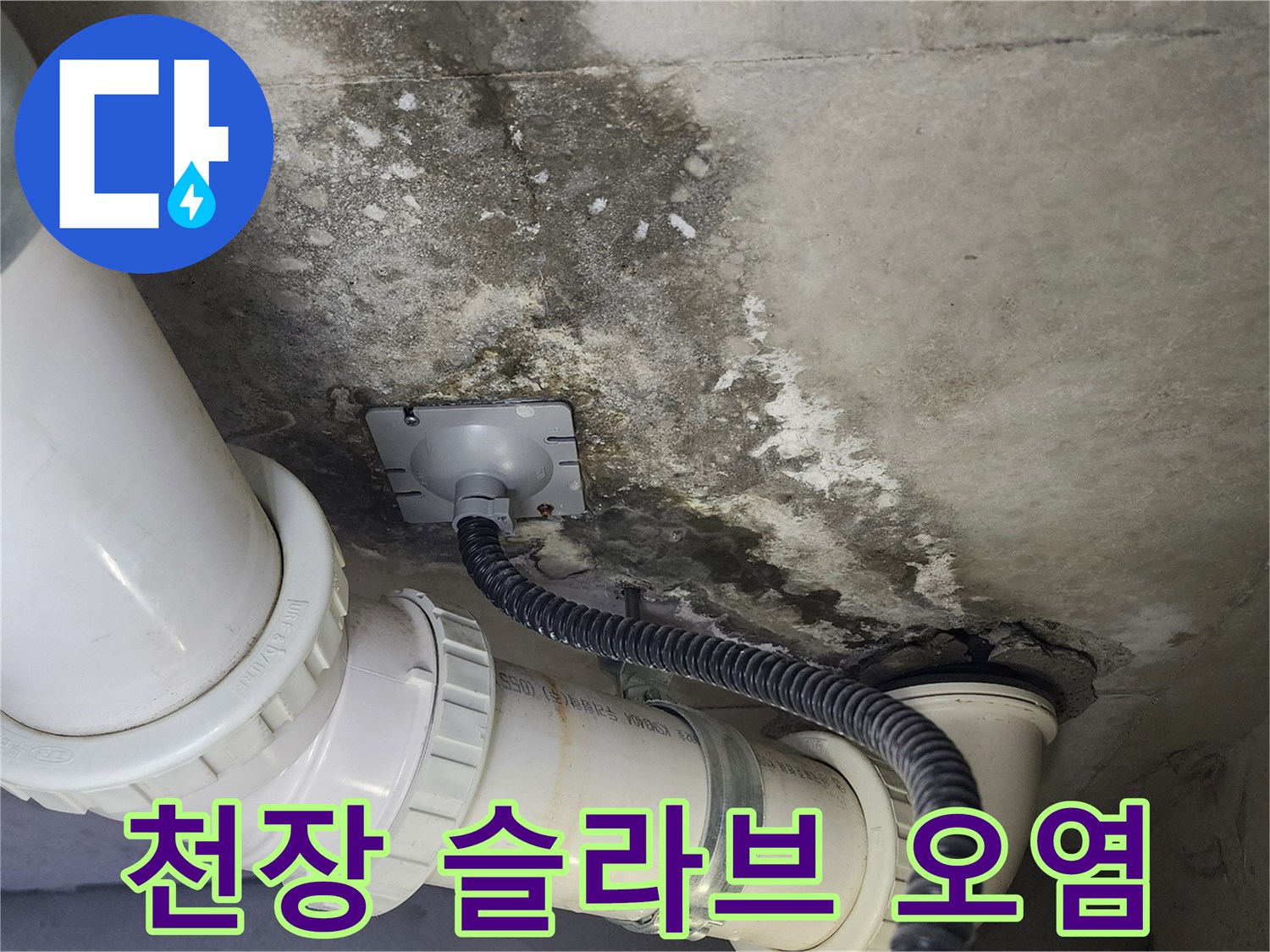 천장-콘크리트-면의-곰팡이와-배관-주변-물자국-현황