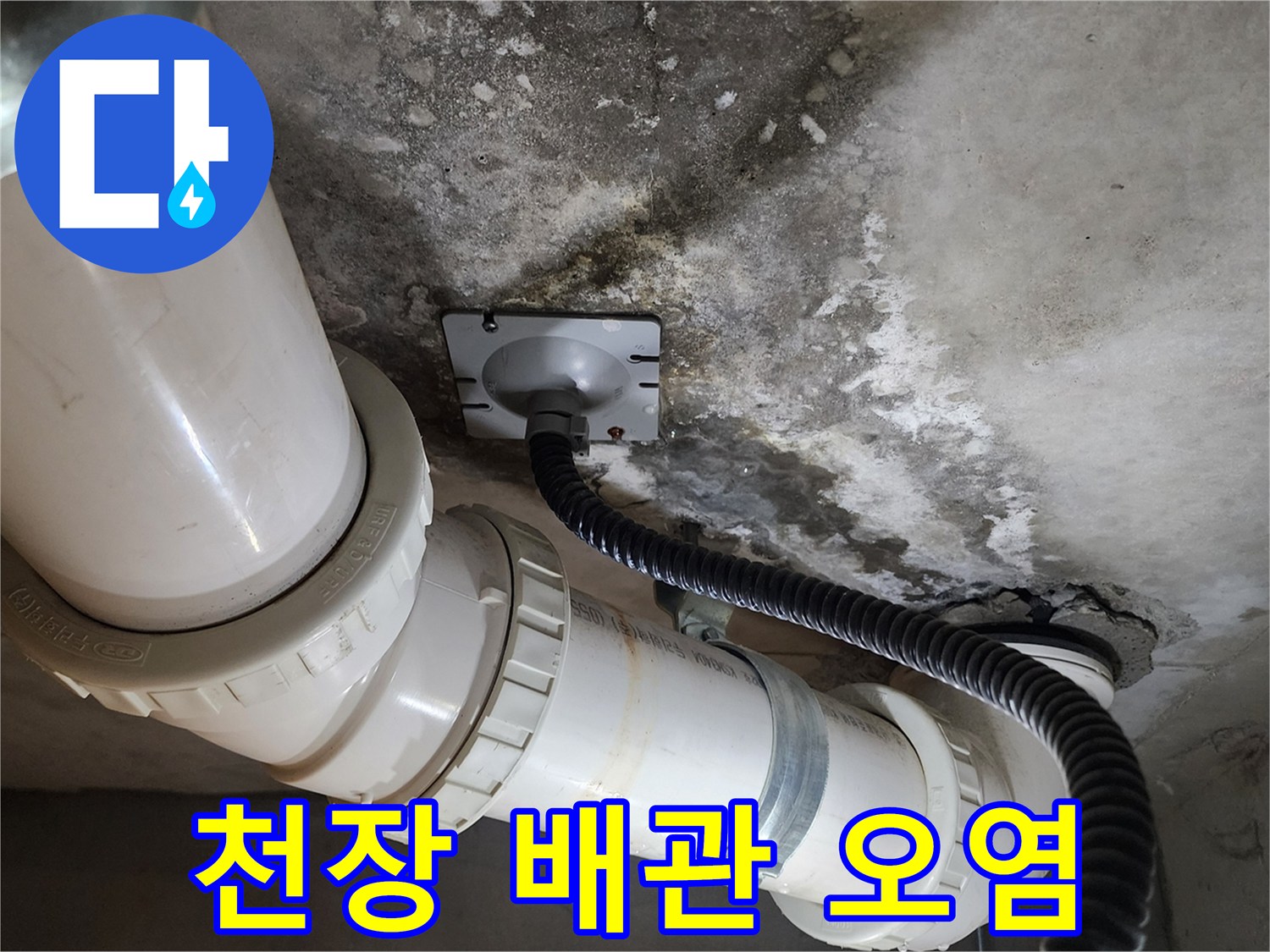 화장실-천장-배관-주변의-물자국과-오염된-슬라브-상태