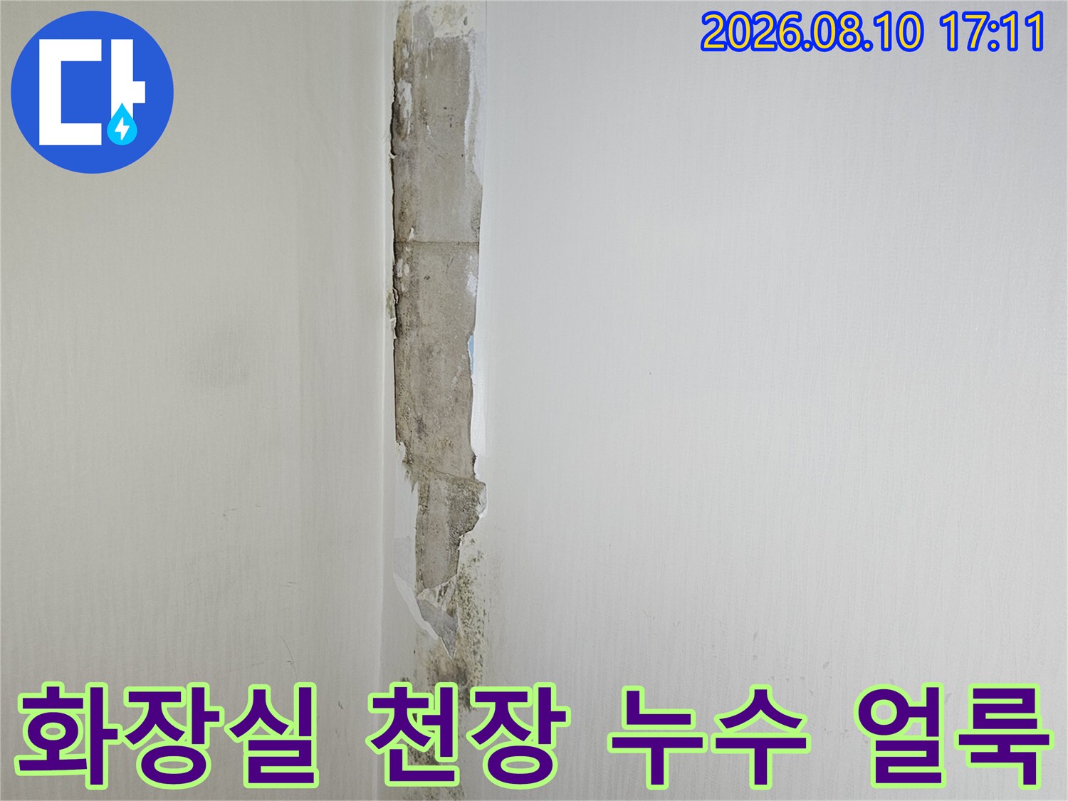 고양 일산동구 아파트 화장실 천장 벽면의 심한 누수 흔적과 곰팡이 발생 상태