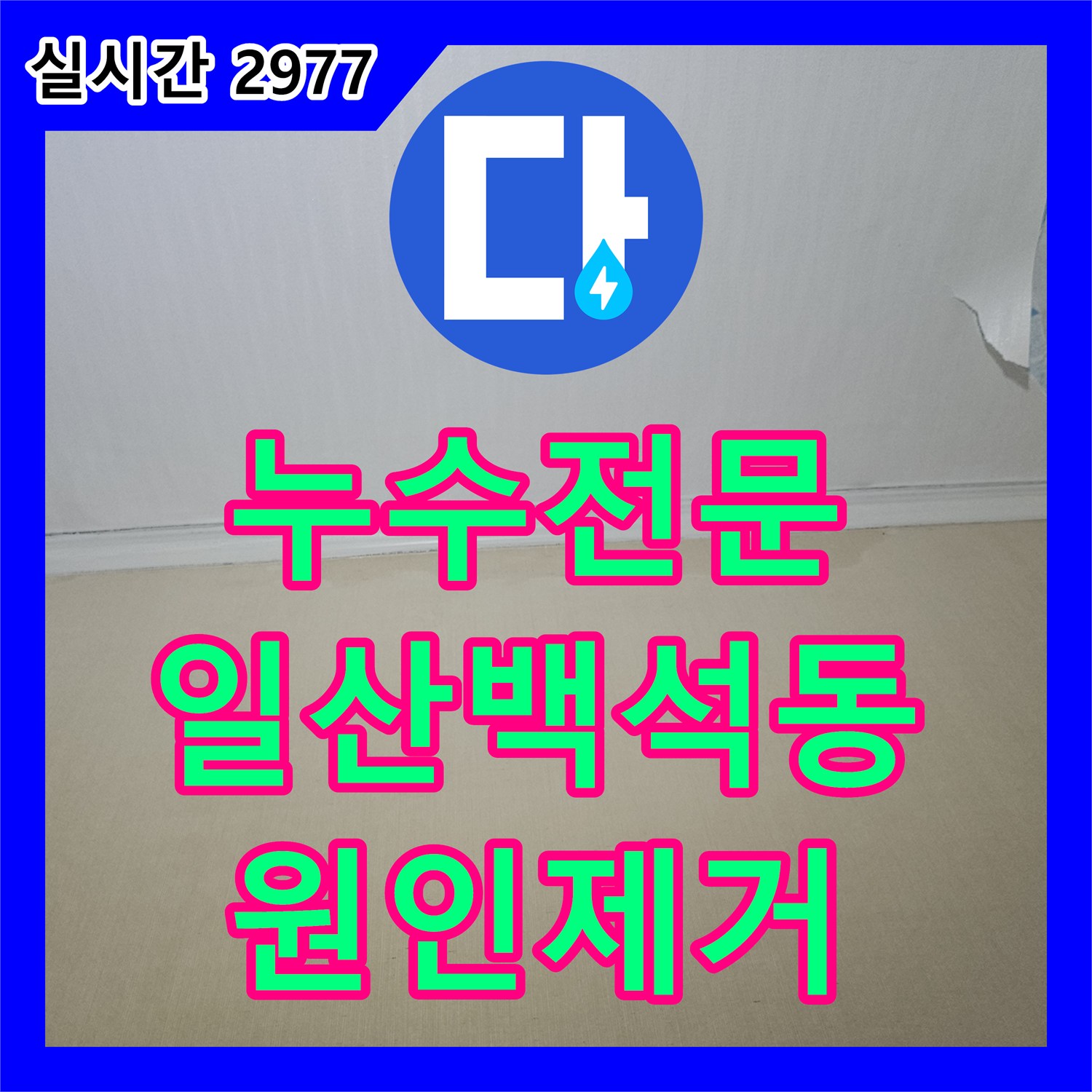 누수전문 화장실 바닥 방수층 손상과 배관 마감 불량으로 인한 누수를 해결한 과정 경기도 고양시 일산동구 백석동