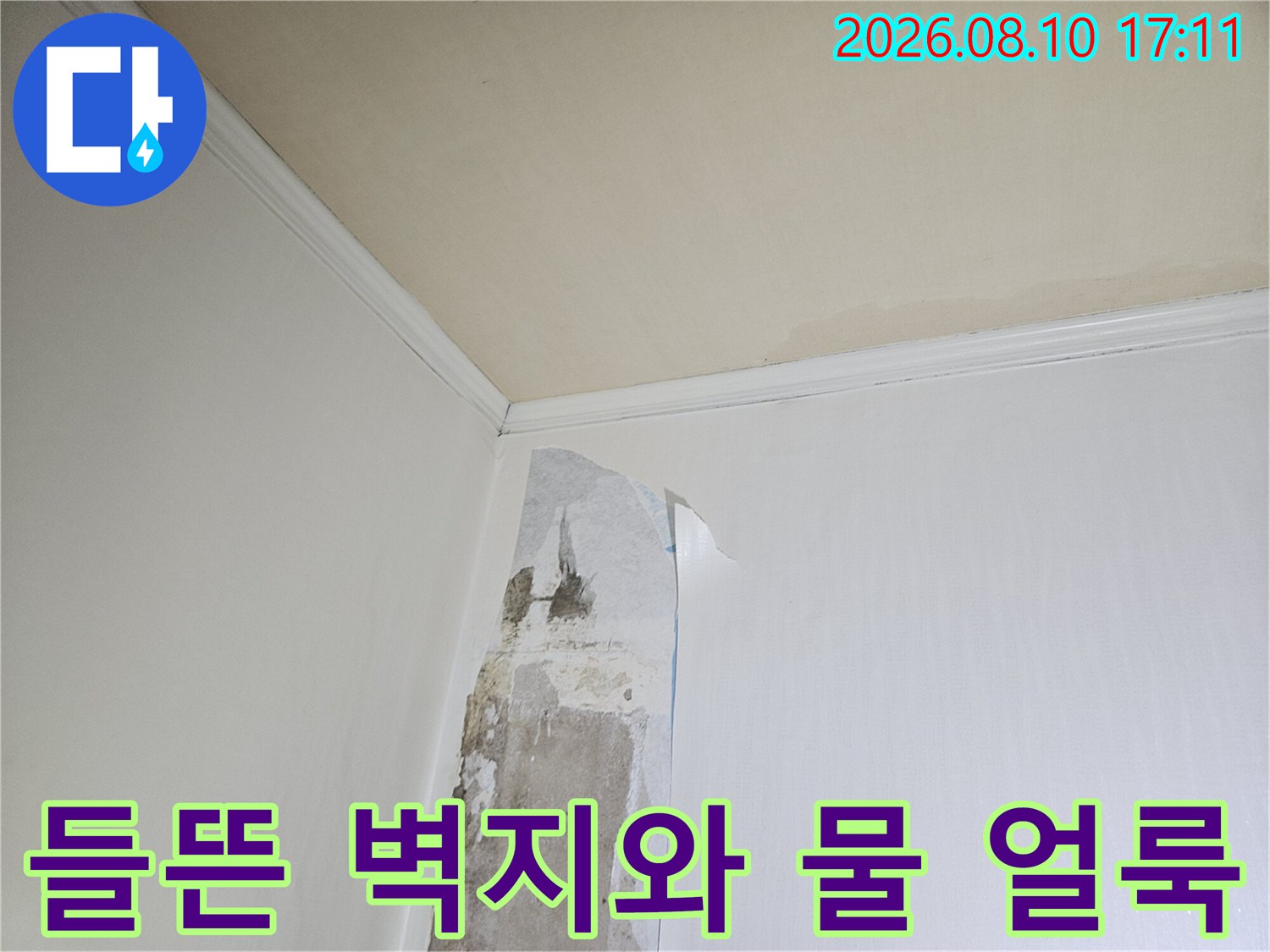 물샘 현상으로 인해-벗겨지고 젖어있는 화장실 내부 벽면 사진