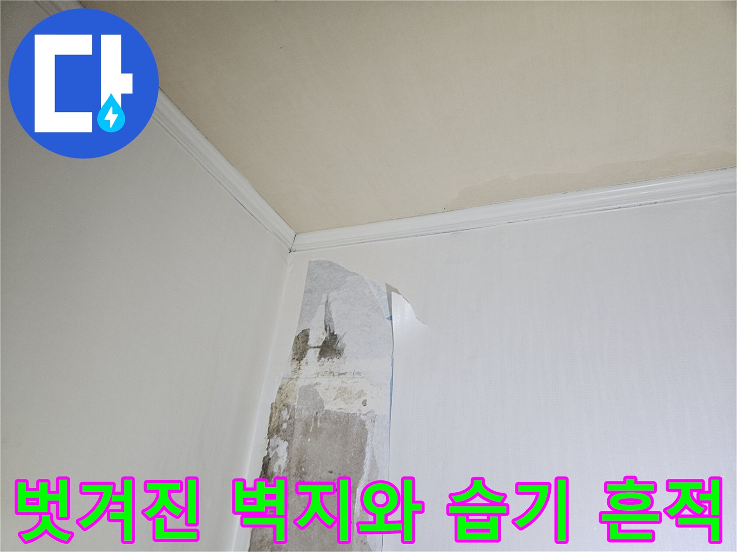 습기로 인해 갈라지고 벗겨져 내려온 도배지 상태