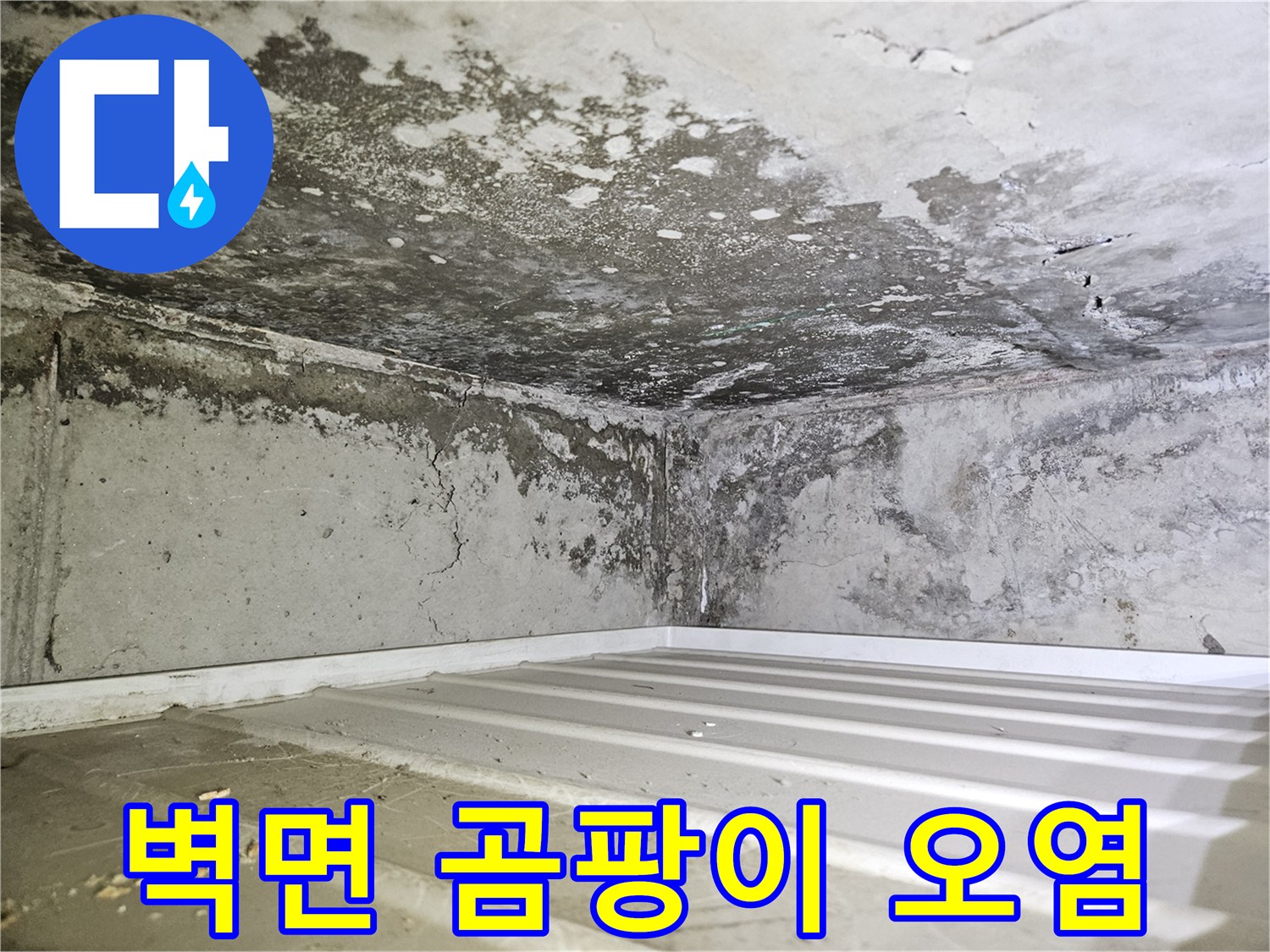 습기로-인해-곰팡이가-번진-욕실-천장-내부