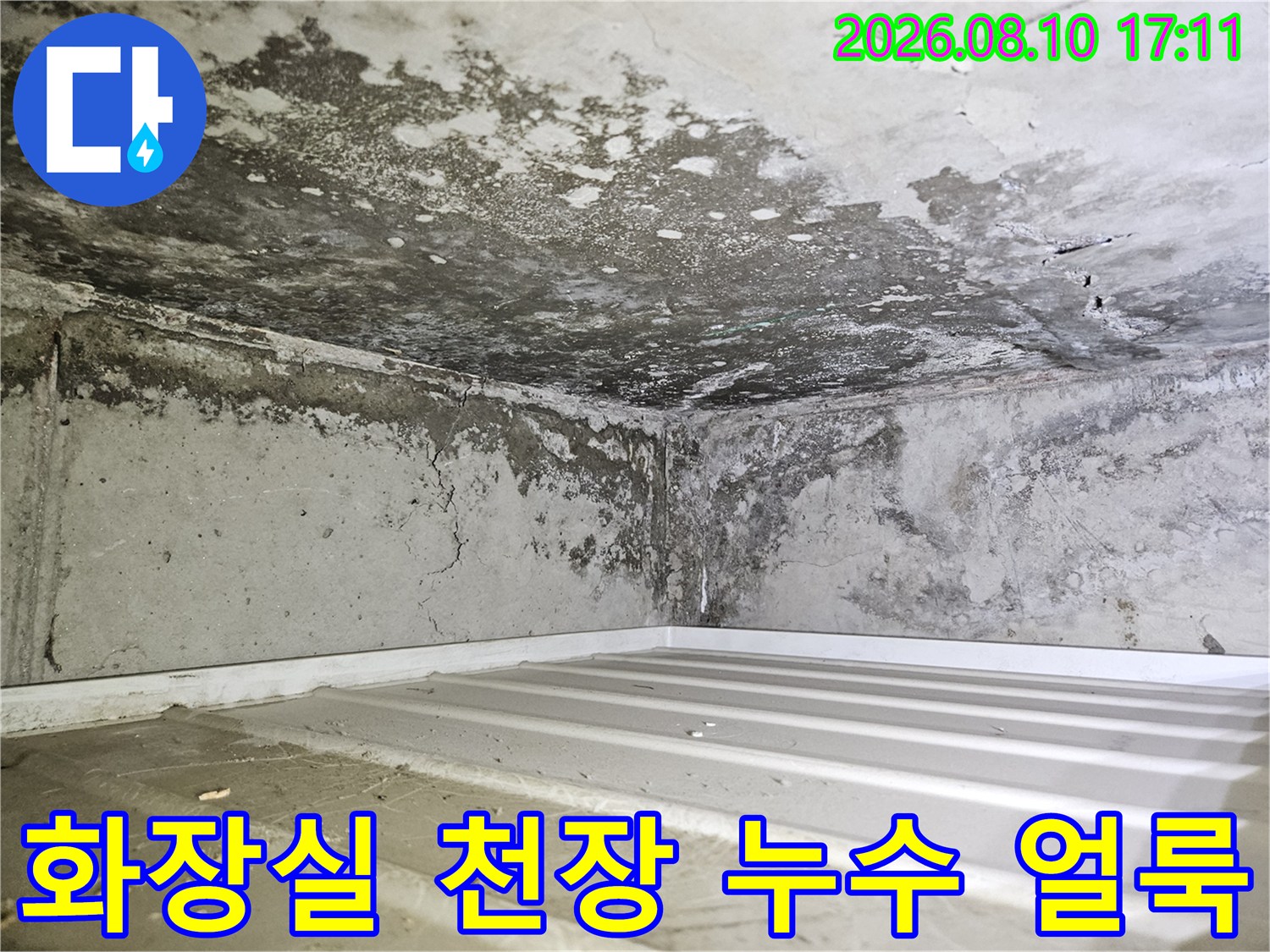 일산동구 백석동 아파트 화장실 천장 내부의 심한 누수 흔적과 곰팡이 상태