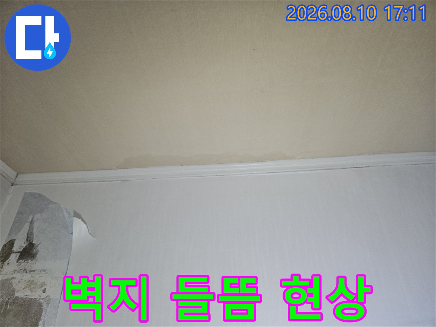 일산동구 아파트 내부의 벽지가 습기로 인해 들뜨고 훼监된 모습입니다.