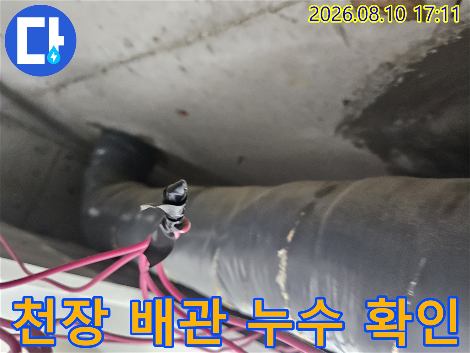 일산동구 아파트 천장-배관 연결 부위의 상태를 점검하는 모습
