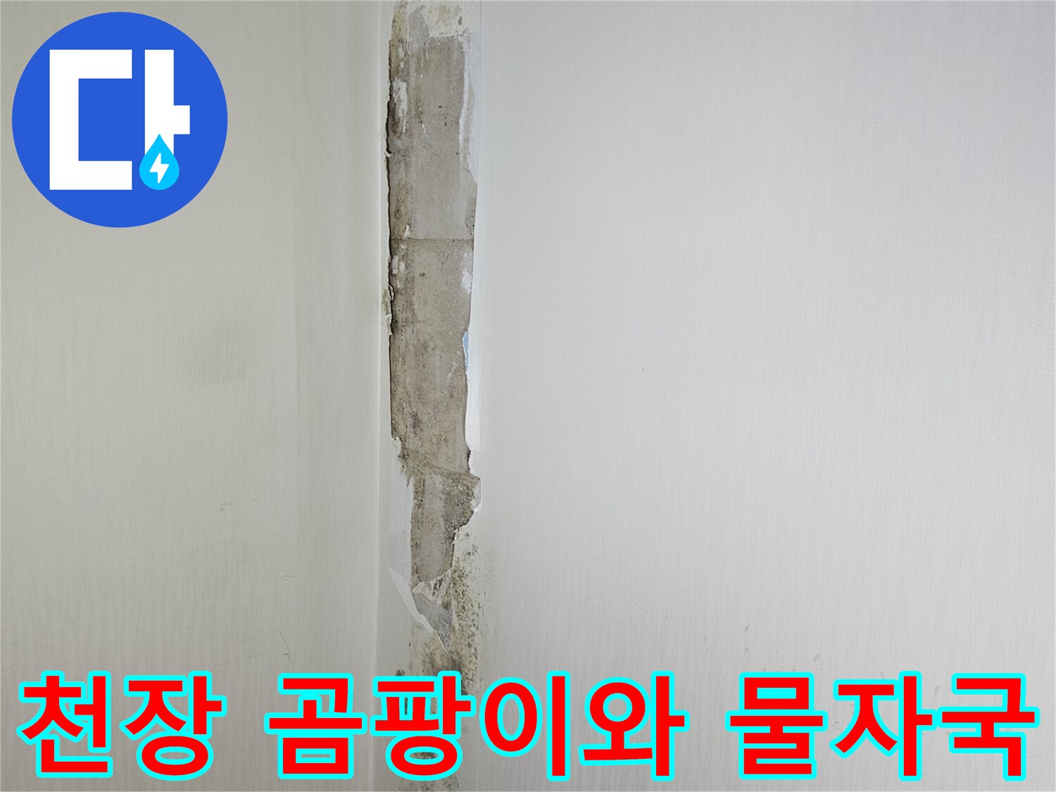 일산동구 아파트 천장 벽면의 곰팡이와 누수 흔적