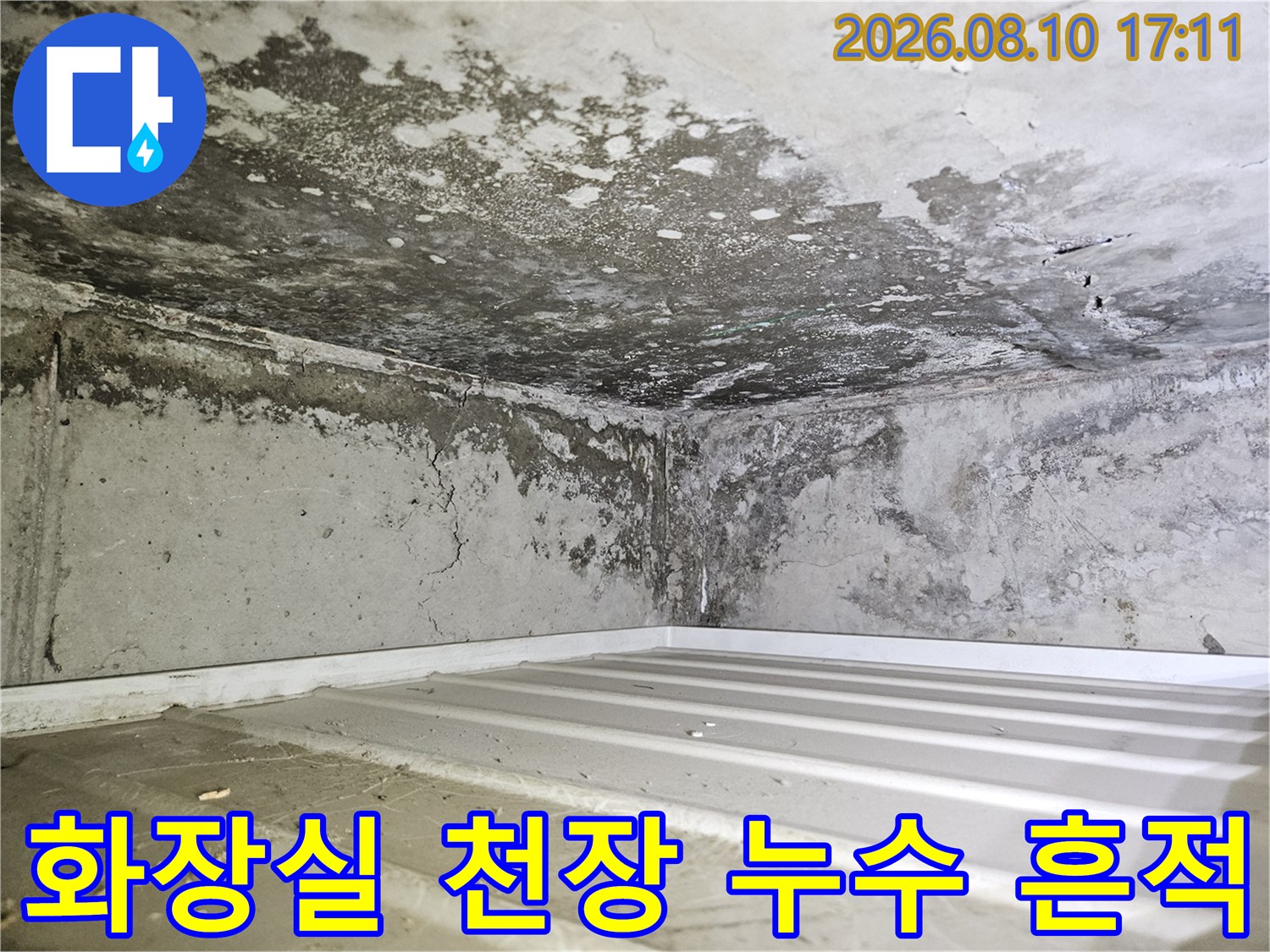 일산동구 아파트 화장실 천장 내부의 누수 흔적과 곰팡이 상태