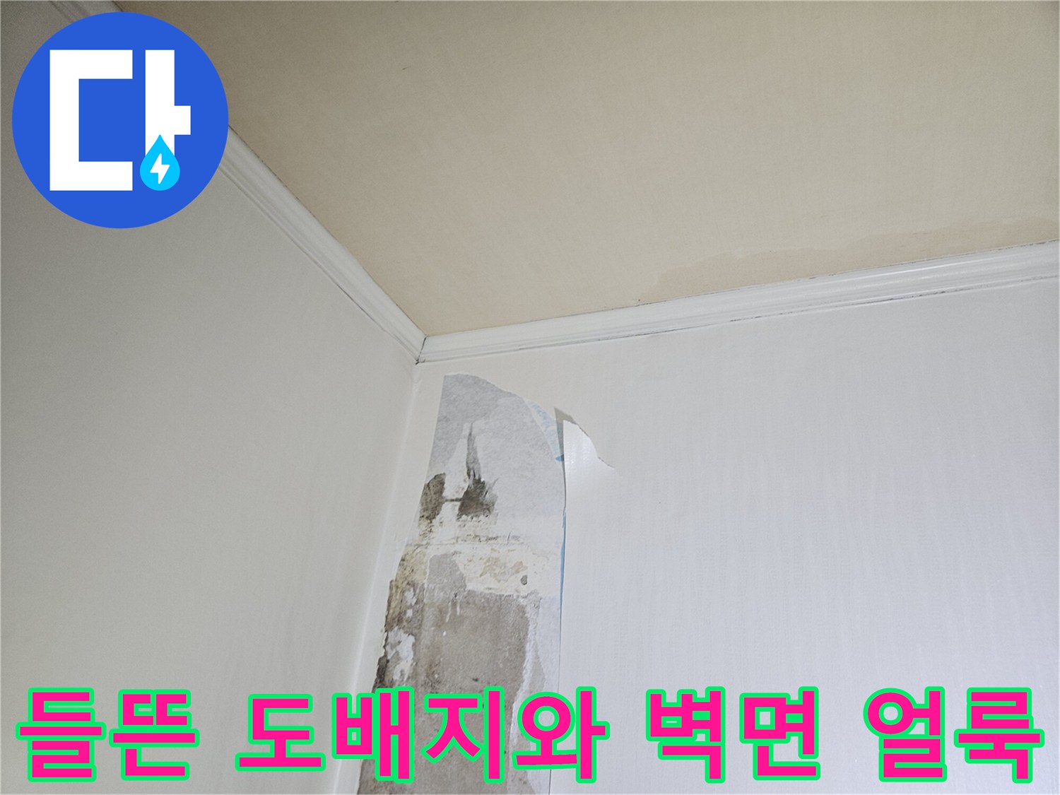 일산백석동-아파트-벽면-도배지-들뜸-및-습기-흔적