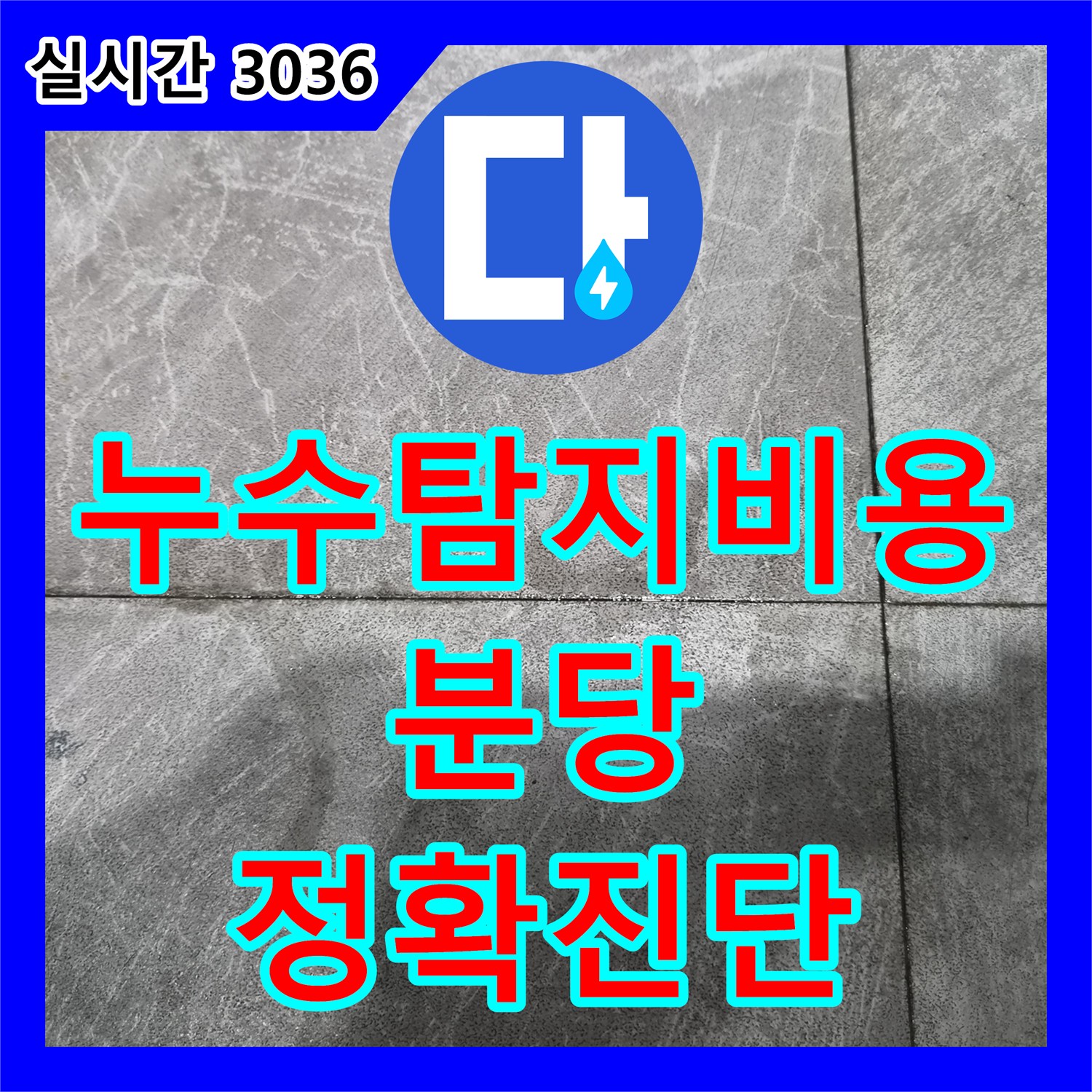 누수탐지비용 고민보다 정확한 원인 파악이 우선인 상가 하수관 누수 공사 경기 성남시 분당구