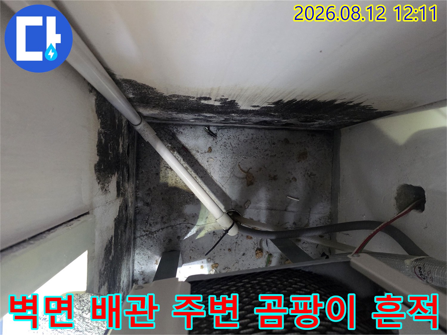 보일러실 벽면 배관 근처에 나타난 검은색 곰팡이와 습기 얼룩