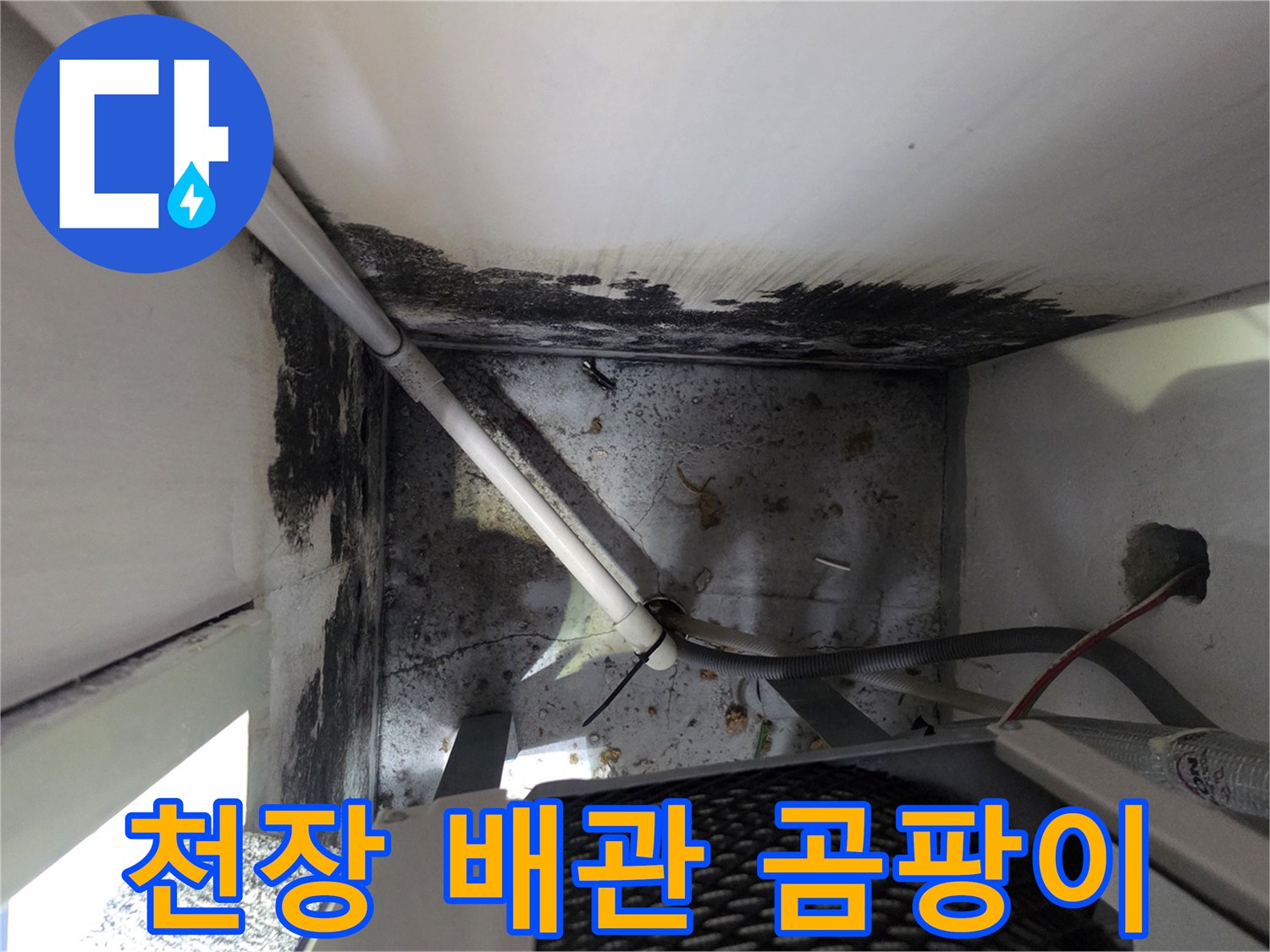 보일러실 상단 배관 주변의 곰팡이와 습기 흔적