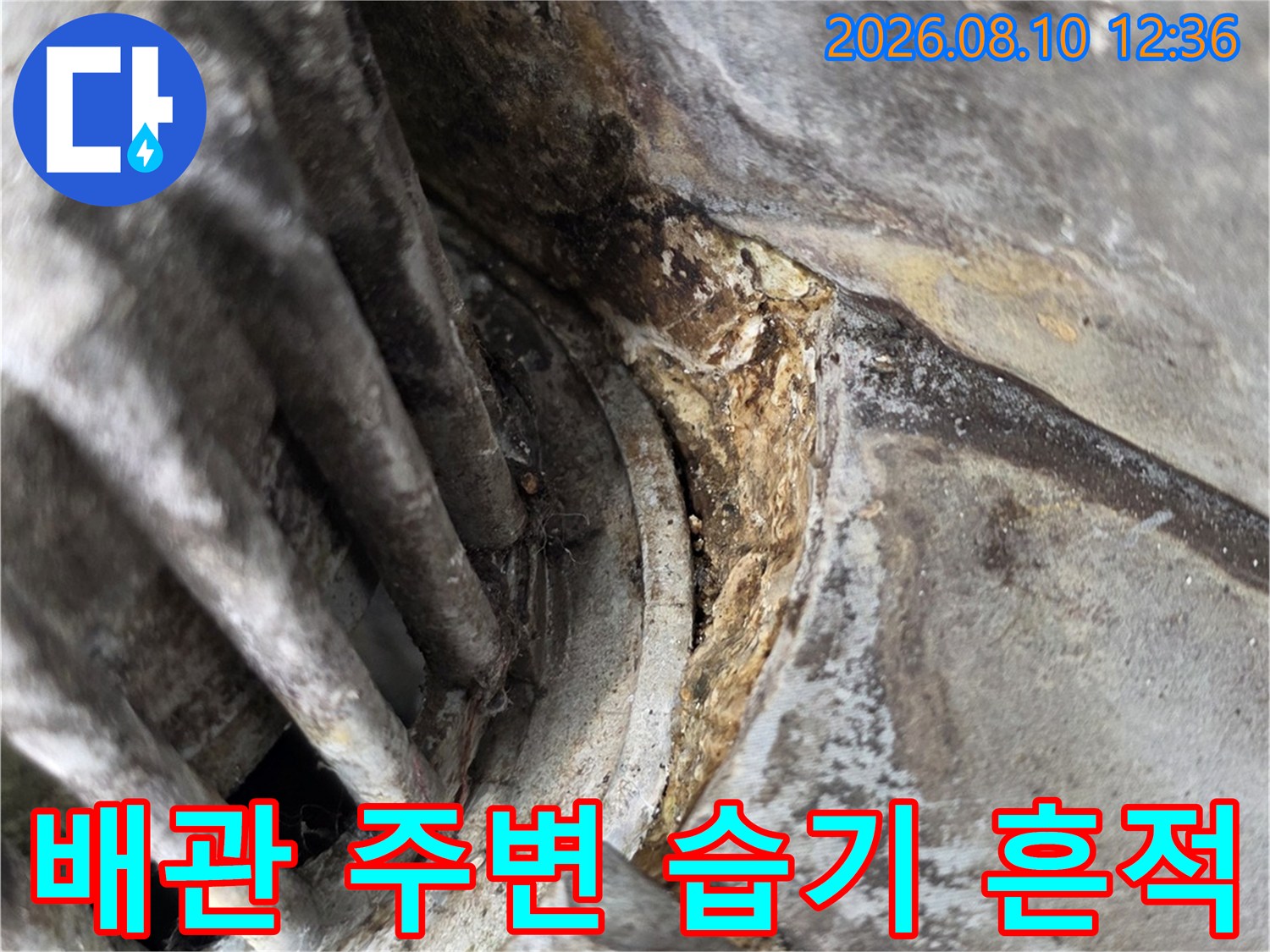배관 접합부 근처의-습기로 인한 마감재 변색 및 오염 상태