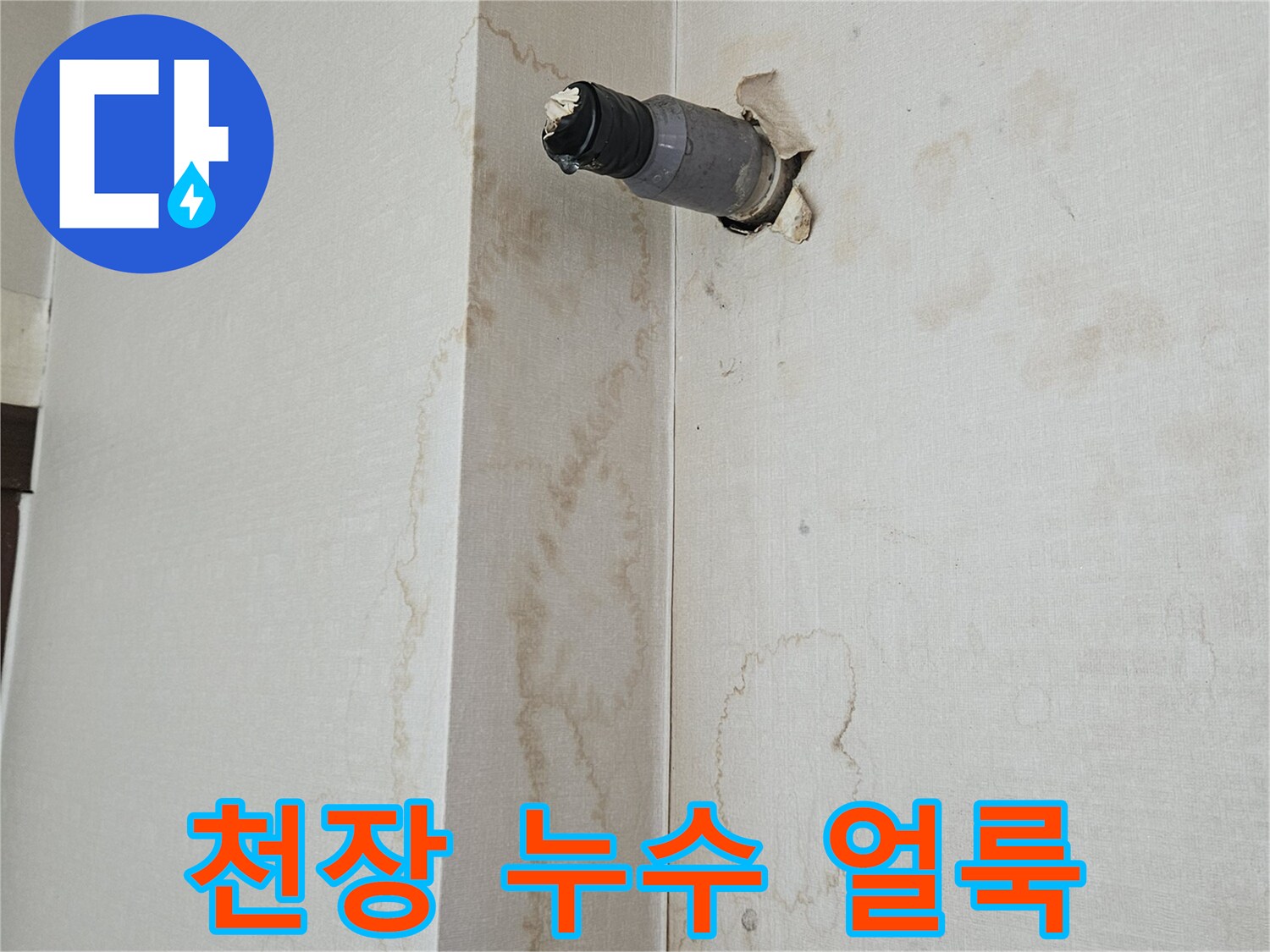 미추홀구 주안동-상가 천장에 발생한 넓은 물자국과 배관 노출 부위