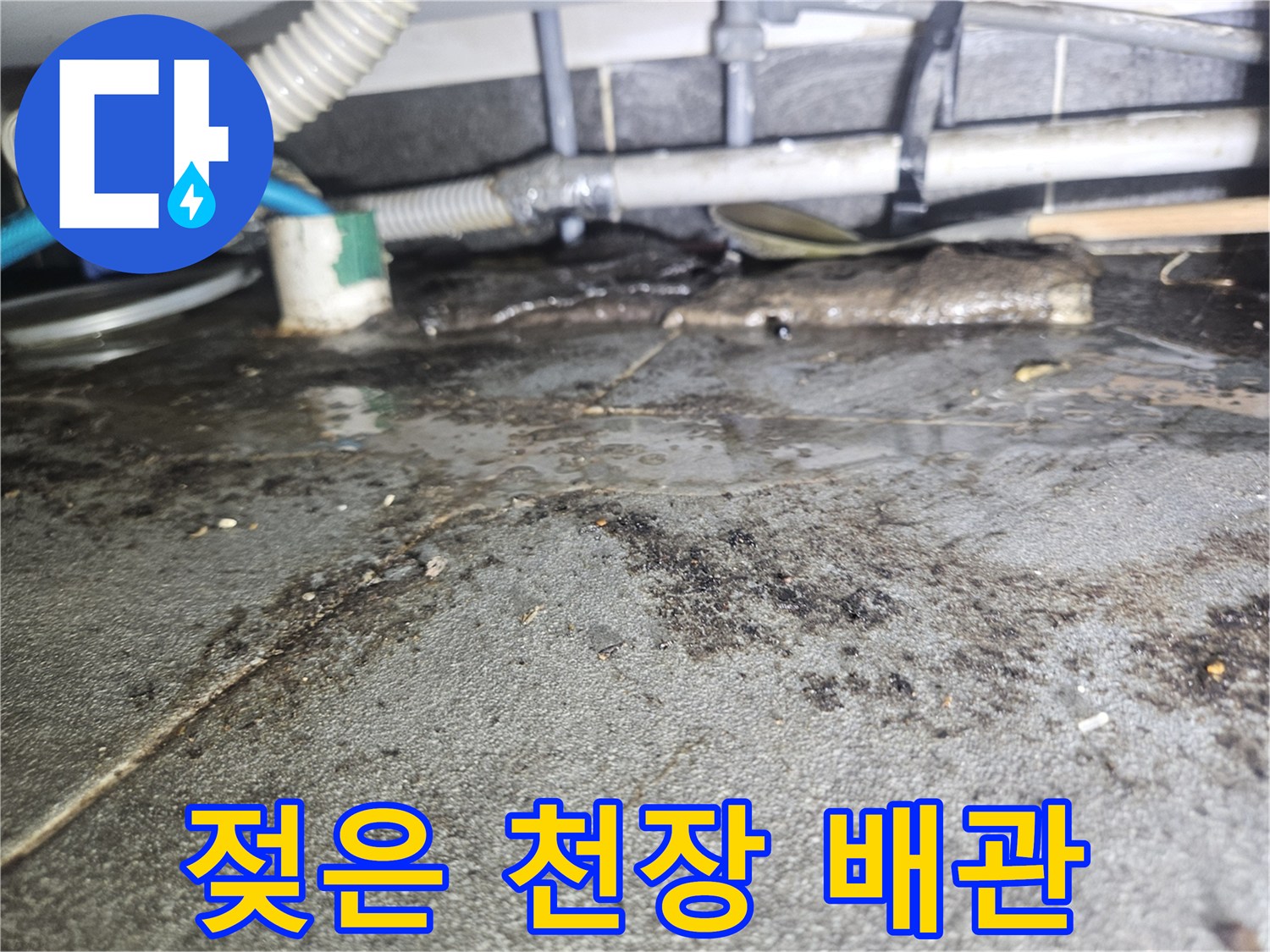 오염된 천장 슬래브와 노출된 하수 배관의 모습