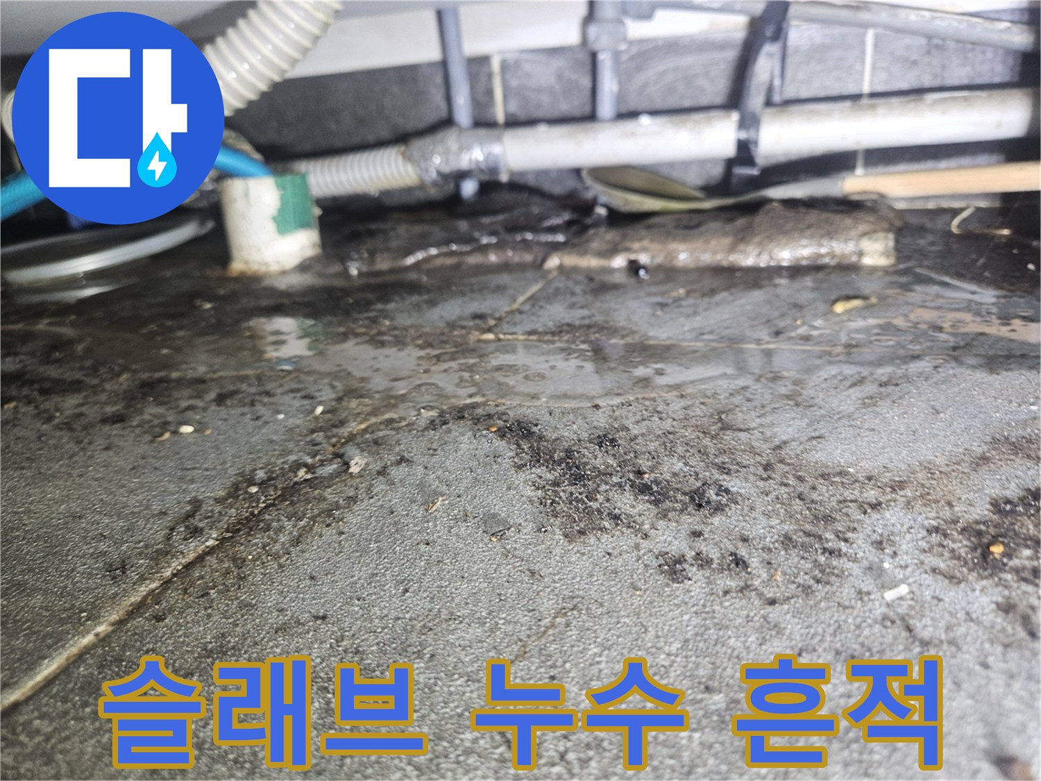 콘크리트 천장 면에 나타난 젖은 얼룩과 오염 부위