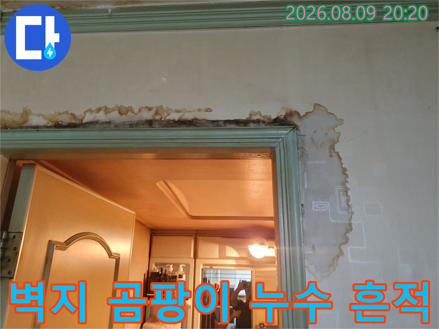 문틀 몰딩 아래로 번진 벽지 변색과 곰팡이 발생 부위 상세 사진