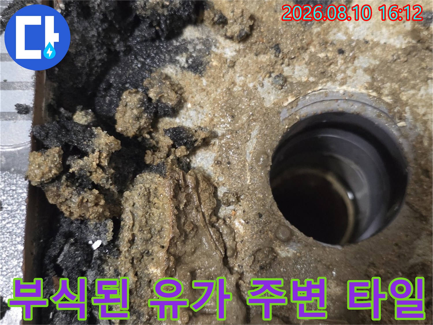 물때와 곰팡이로 오염된 욕실 배수구 주변의 상세 사진입니다.