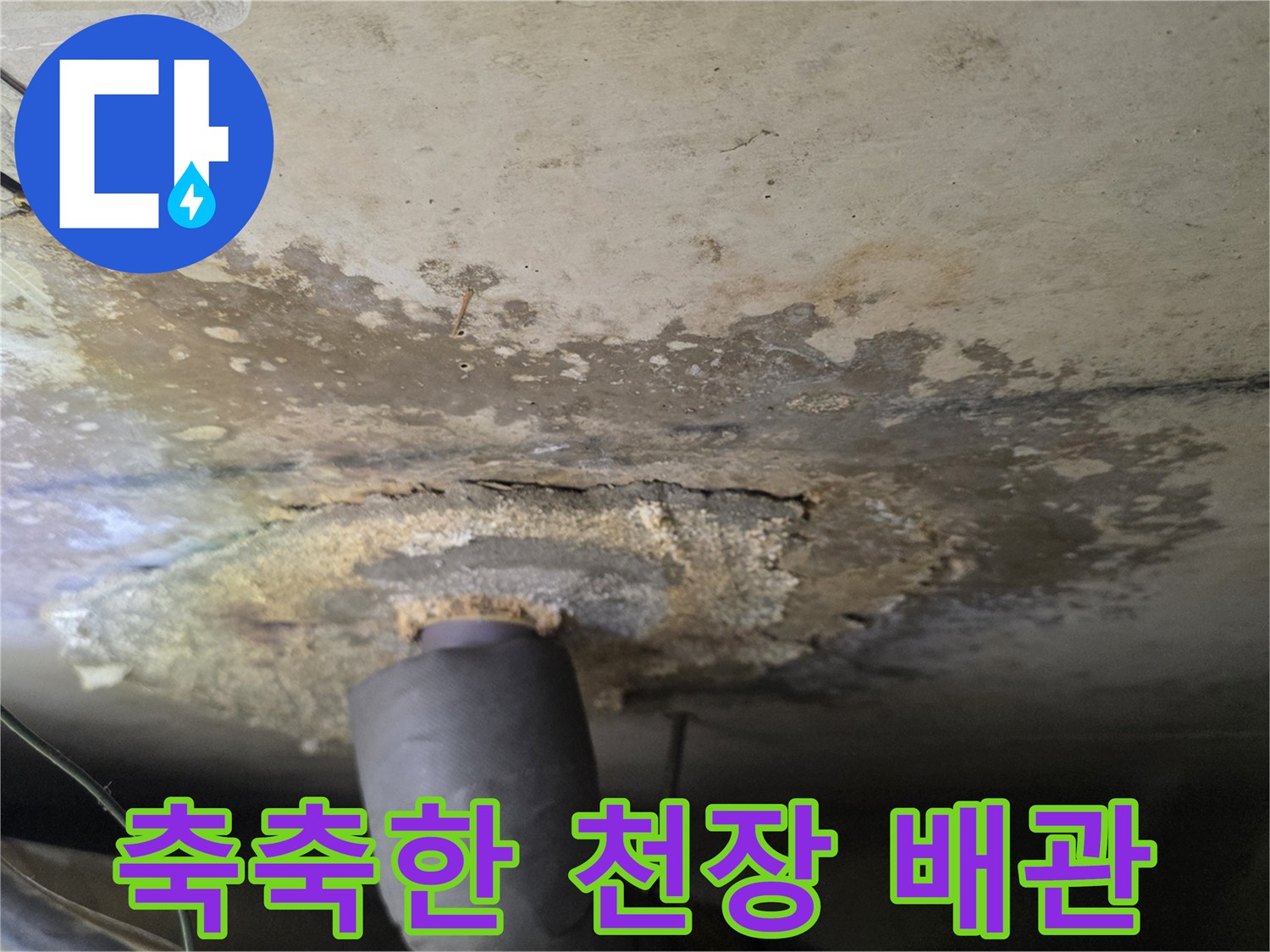 습기로 인해 젖어 있고 얼룩이 발생한 천장 마감재 부위