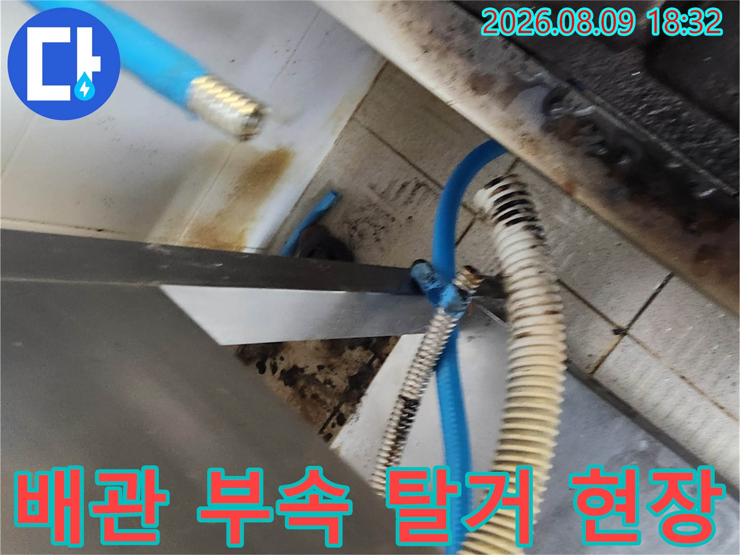 주방 싱크대 아래 오염된 배관과 파란색 호스 연결 부위입니다.