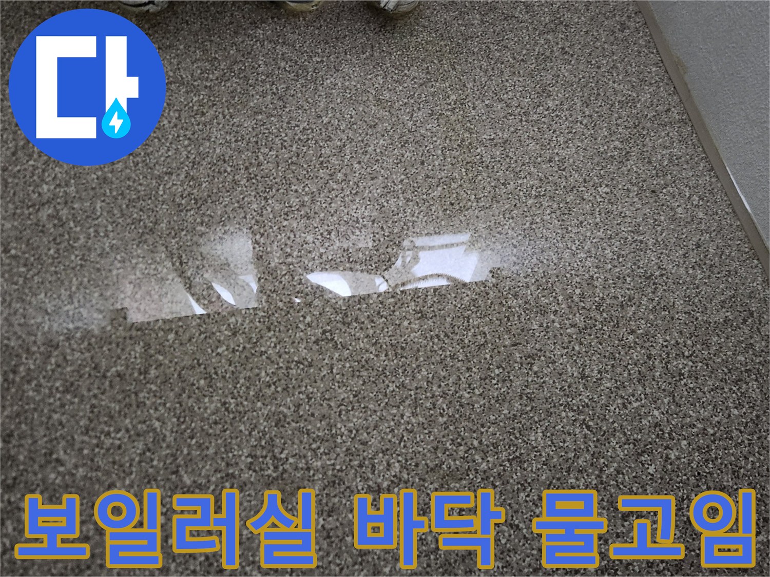 송파구 가락동-보일러실 바닥에 물이 고여있는 모습