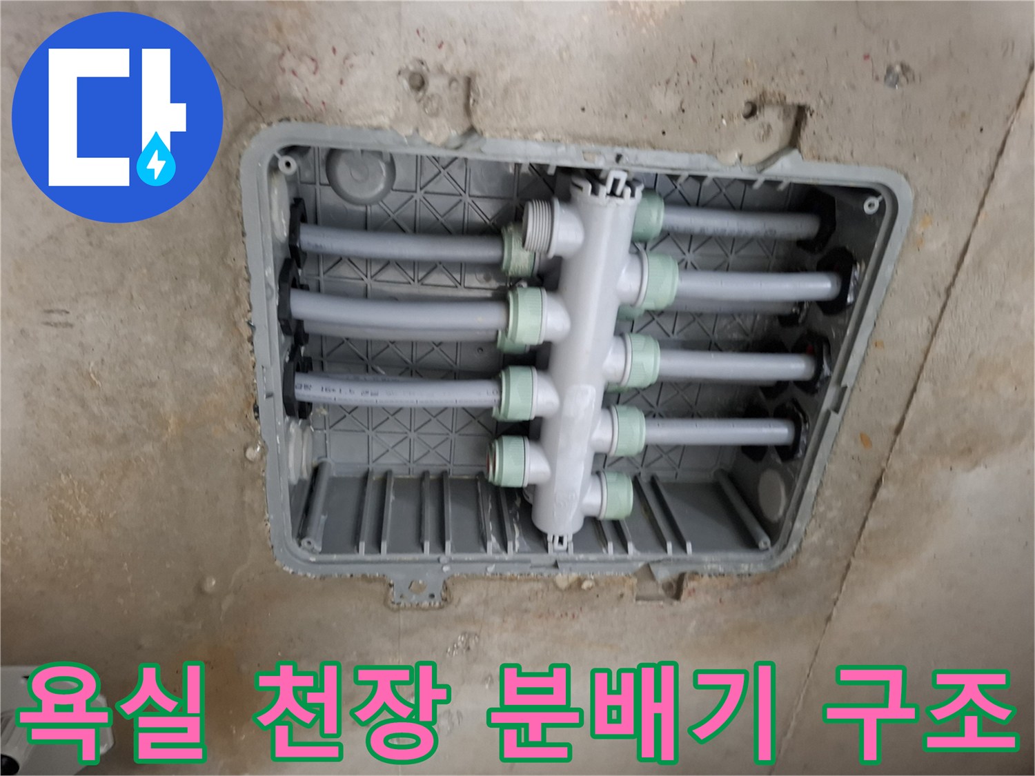 천장 내부의 수전용 이중배관 및 연결 분배기 상세 사진입니다.