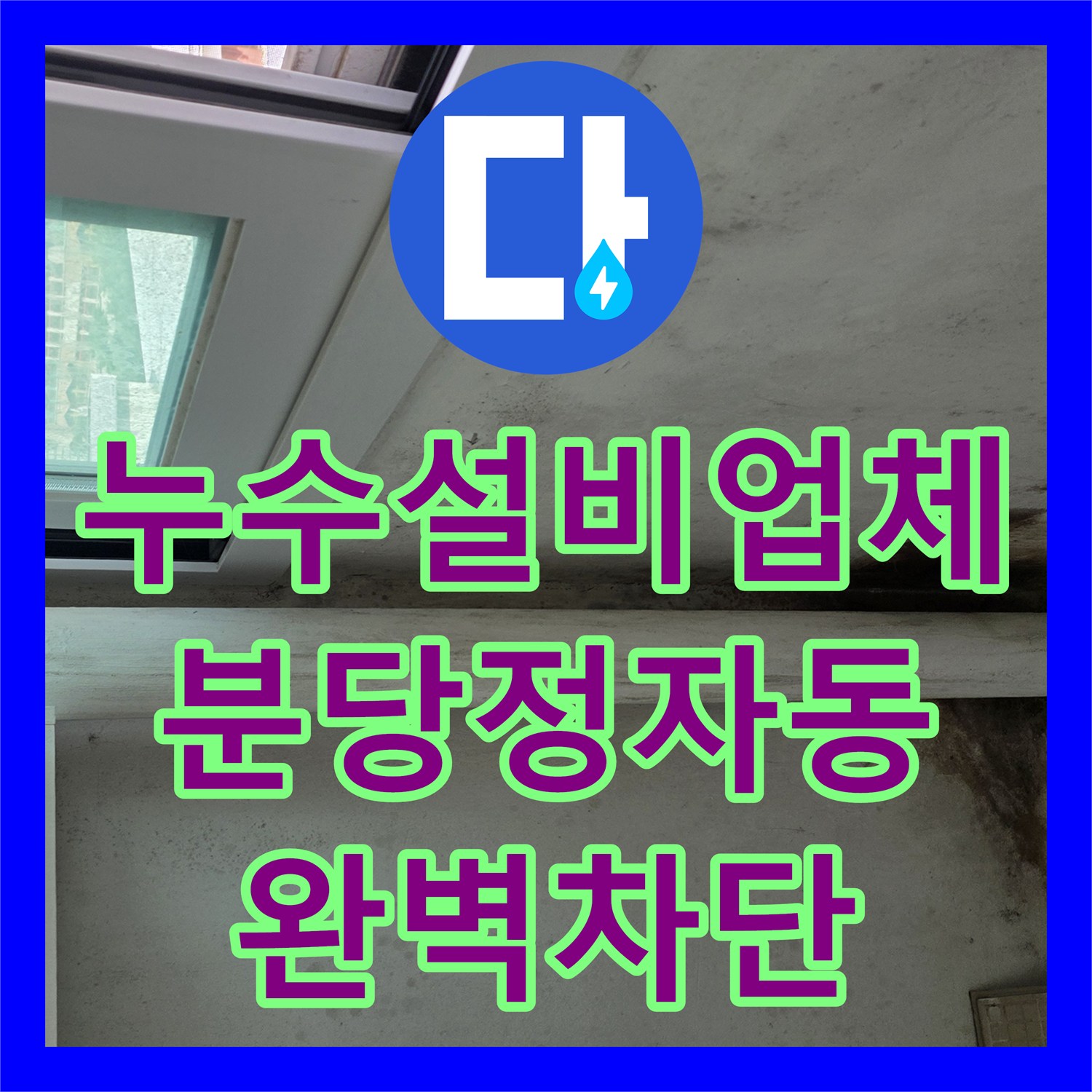 누수설비업체 베란다 벽면 곰팡이와 배관 결함을 동시에 해결한 경기 성남시 분당구 정자동 작업