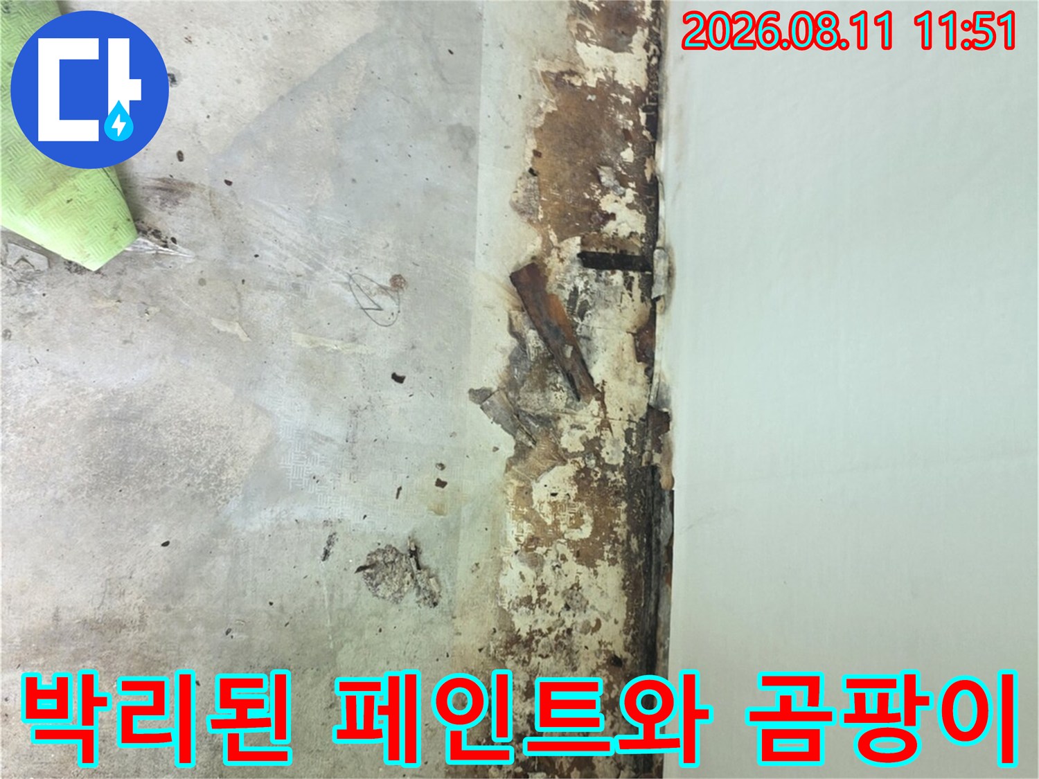 분당 정자동 아파트 베란다 벽면의 곰팡이 및 도장 박리 현장