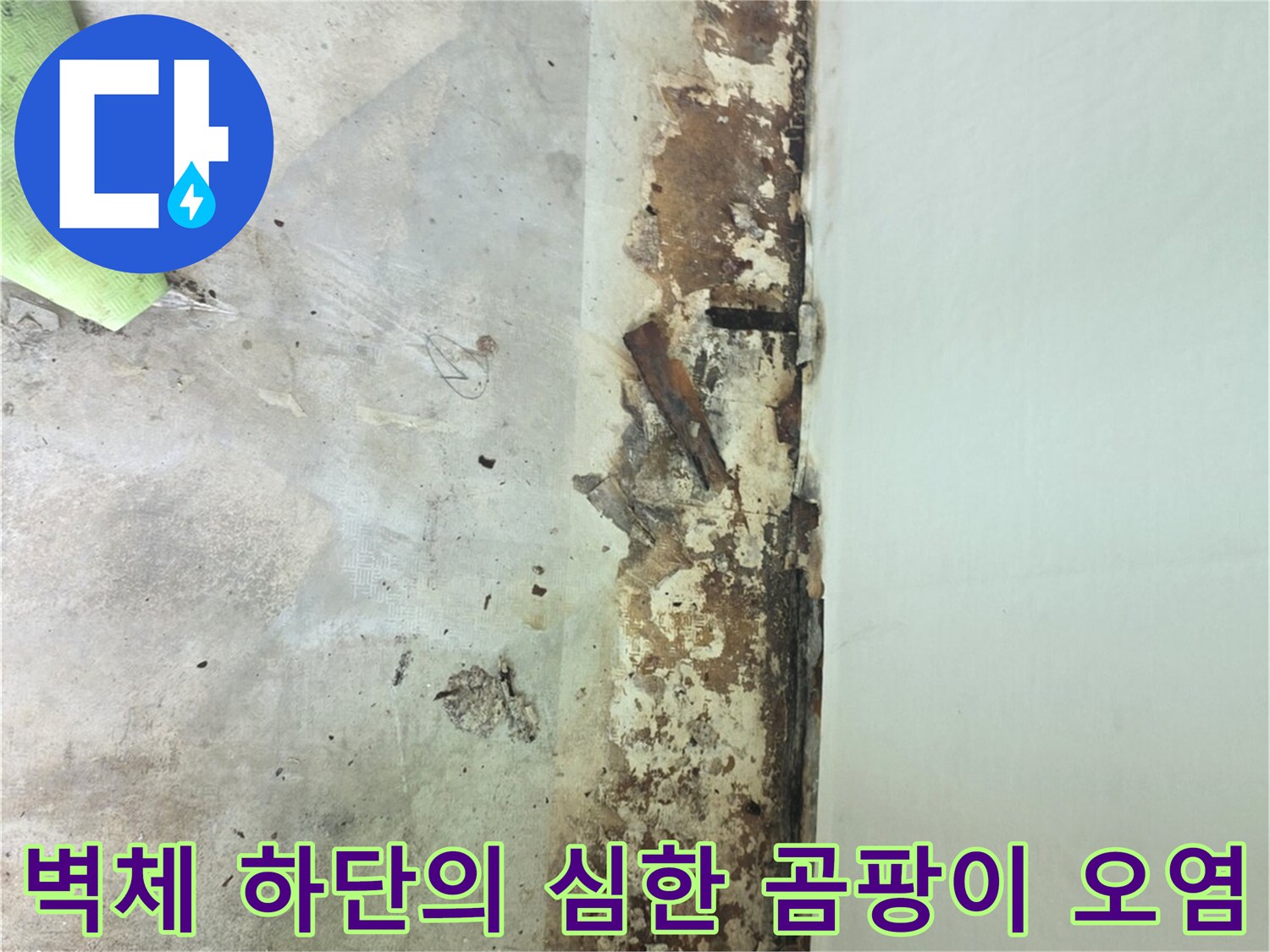 습기가-차올라-벽지-하단에-갈색-물자국과-검은-곰팡이가-피어난-상태