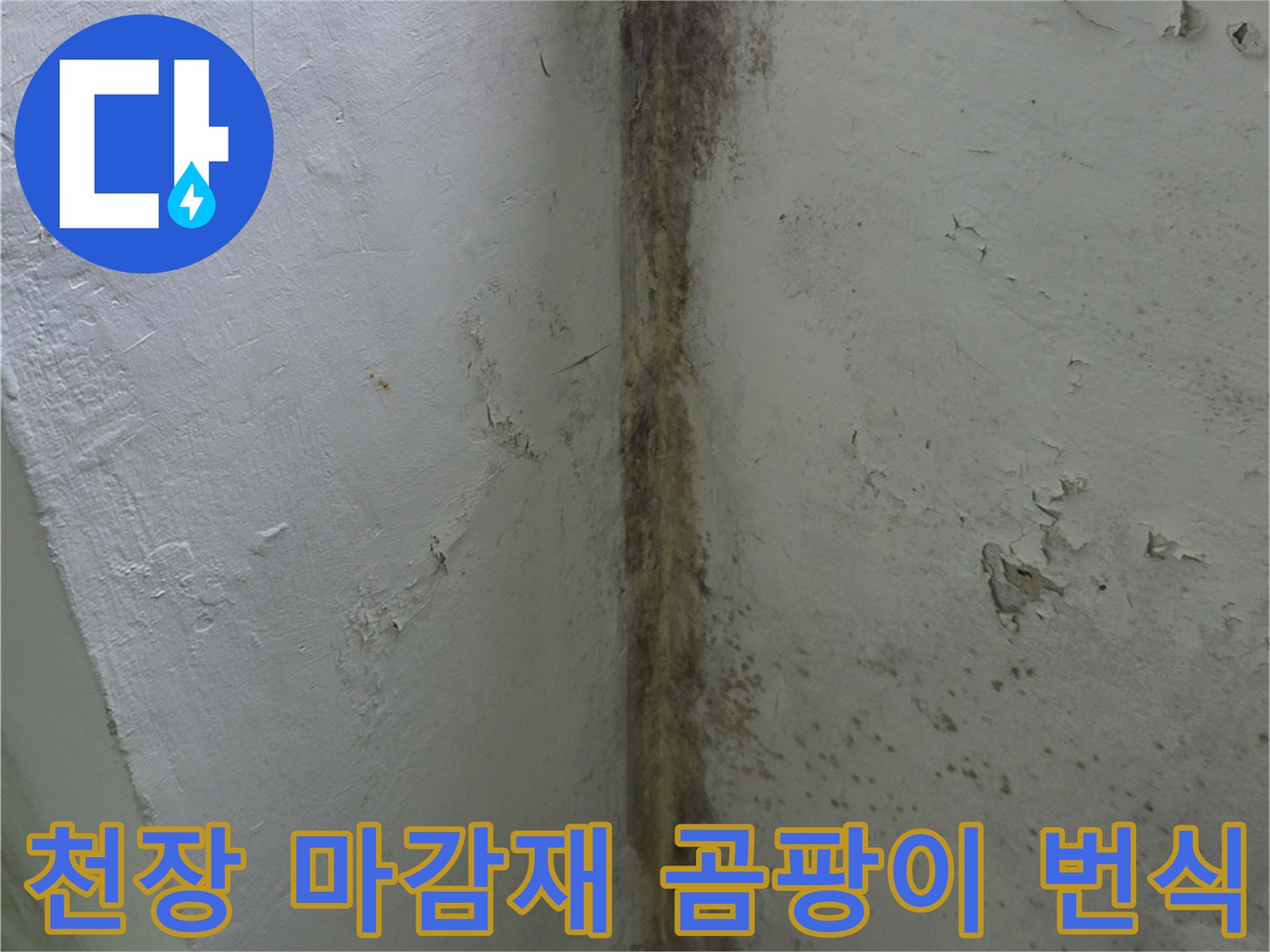 아파트-베란다-내부-천장의-심한-곰팡이-오염과-벽면-습기-상태