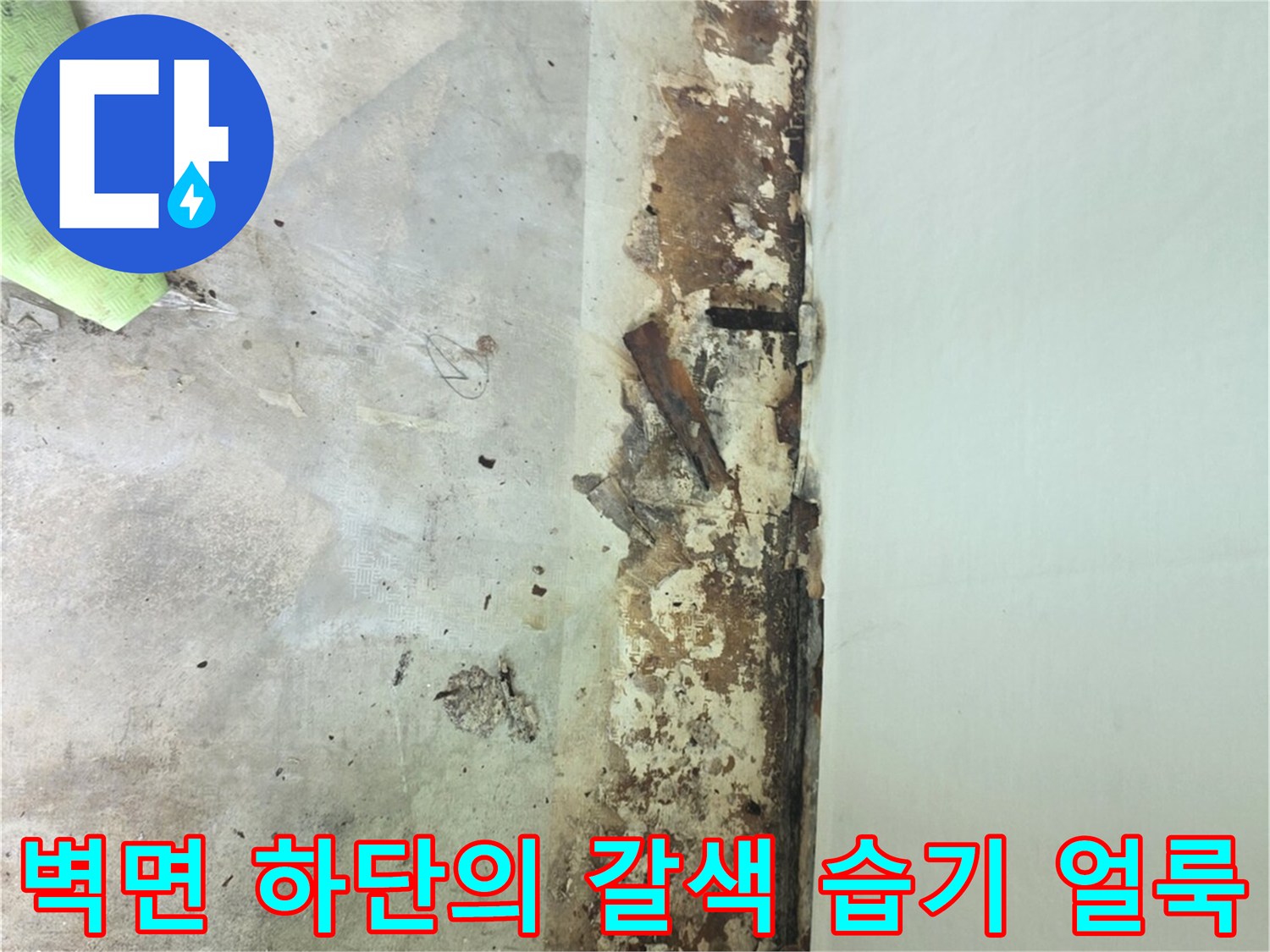 하얀-벽면에-대조적으로-갈색과-검은색의-습기-얼룩이-심한-모습