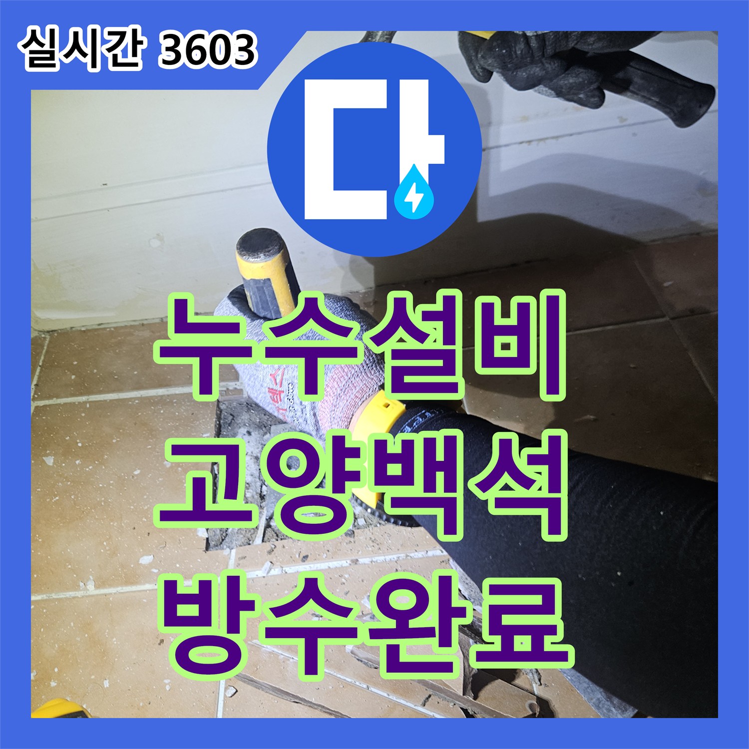 누수설비 욕실 바닥 배수구 유가의 방수층 파손을 정밀하게 보강하여 누수를 차단한 경기 고양시 일산동구 백석동 현장