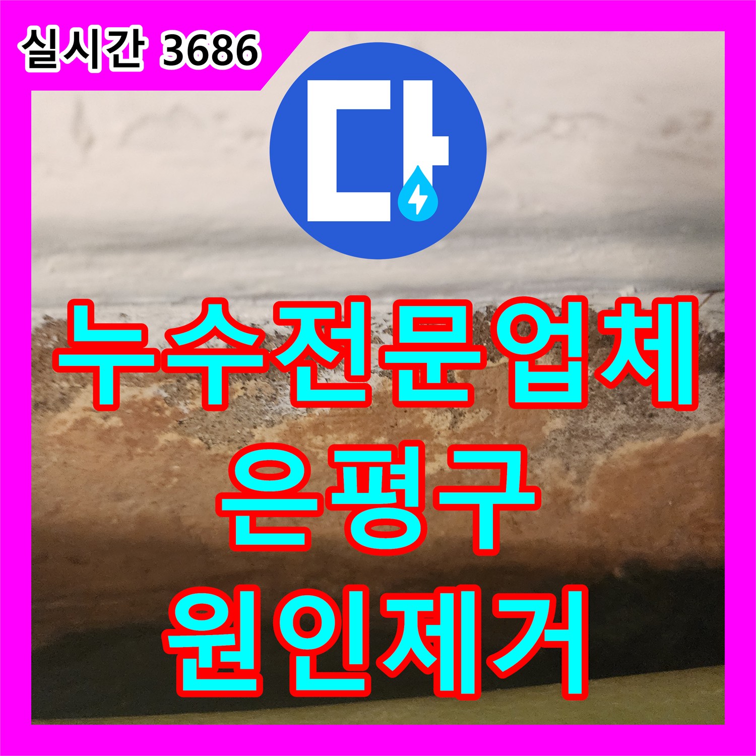 누수전문업체 지하층 문틀 주변의 습기와 누수 원인을 파악해 해결한 과정 서울 은평구