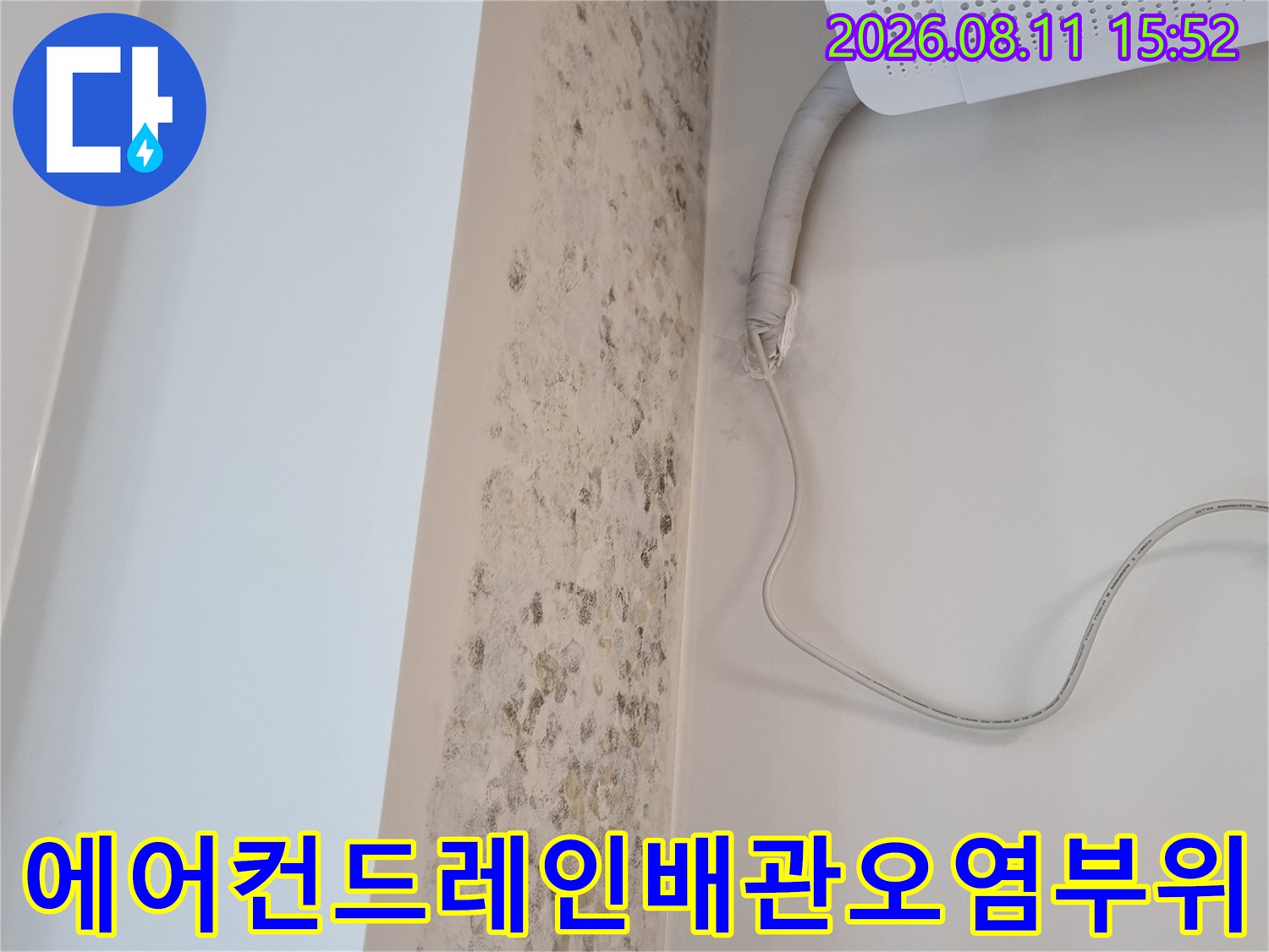 흰색 가전제품 아래로 연결된 회색 배관과 그 주변 벽면에 형성된 곰팡이 군집