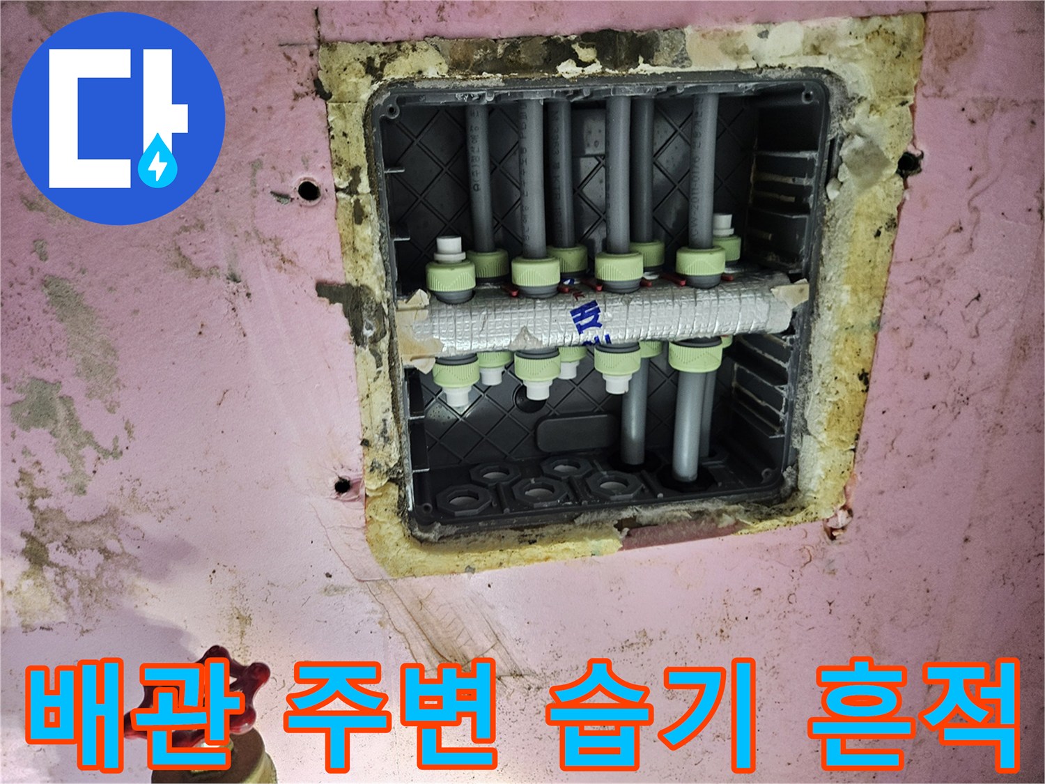 분기 배관 점검 - 누수 경로 확인을 위한 천장 내부 사진