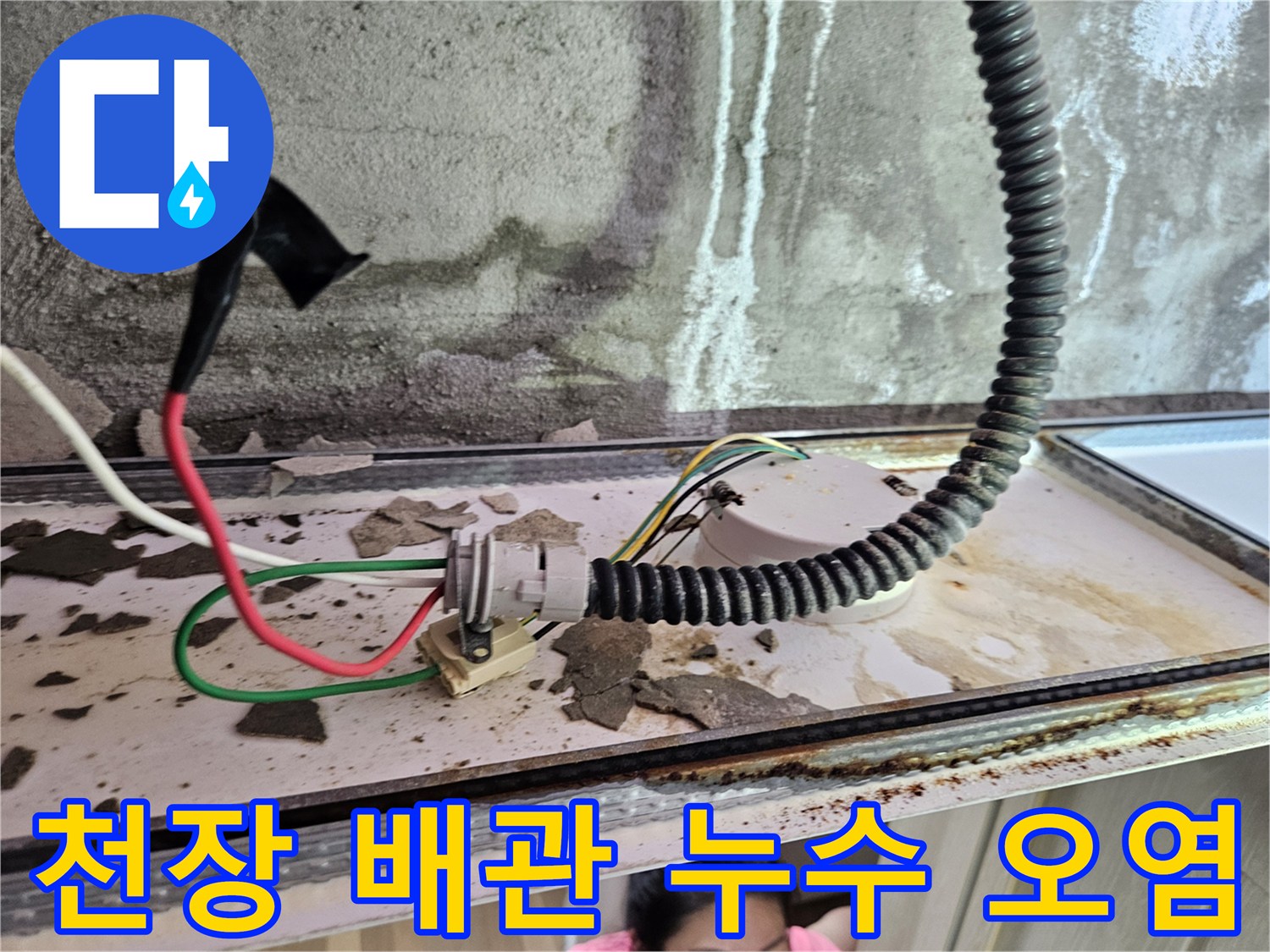 양주 옥정동 화장실-누수로 인해 변색된 천장 내부 배관 및 전선 부위