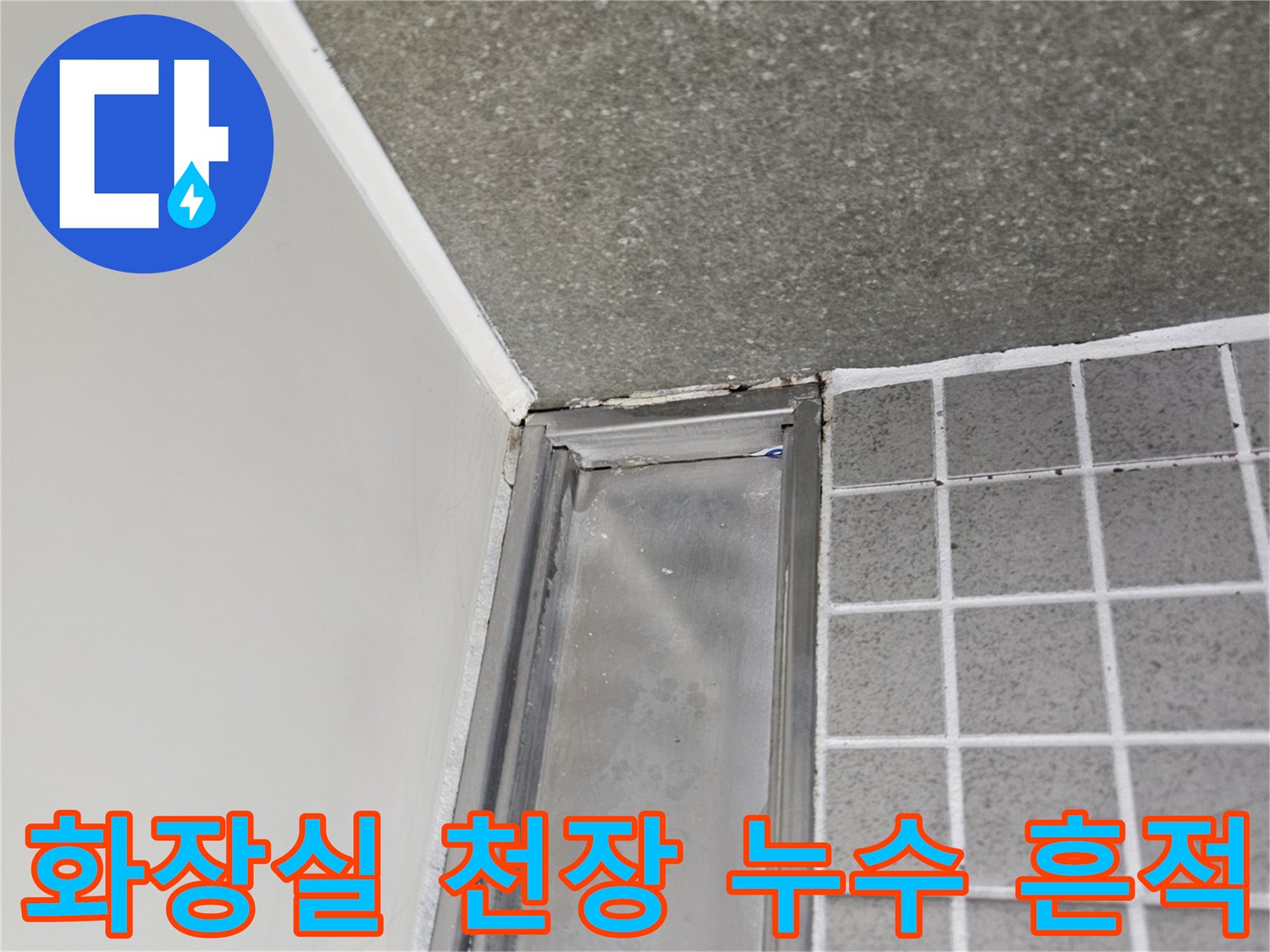 양주 옥정동 화장실-천장 내부의 물샘 흔적과 습기 상태
