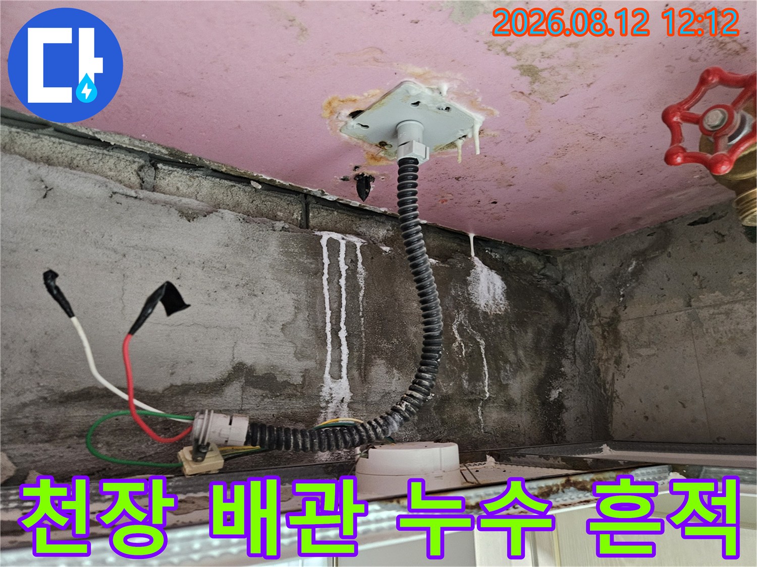양주 옥정동 화장실 천장 내부의 전선관 주변에 물이 흐른 자국과 얼룩이 보이는 모습입니다.