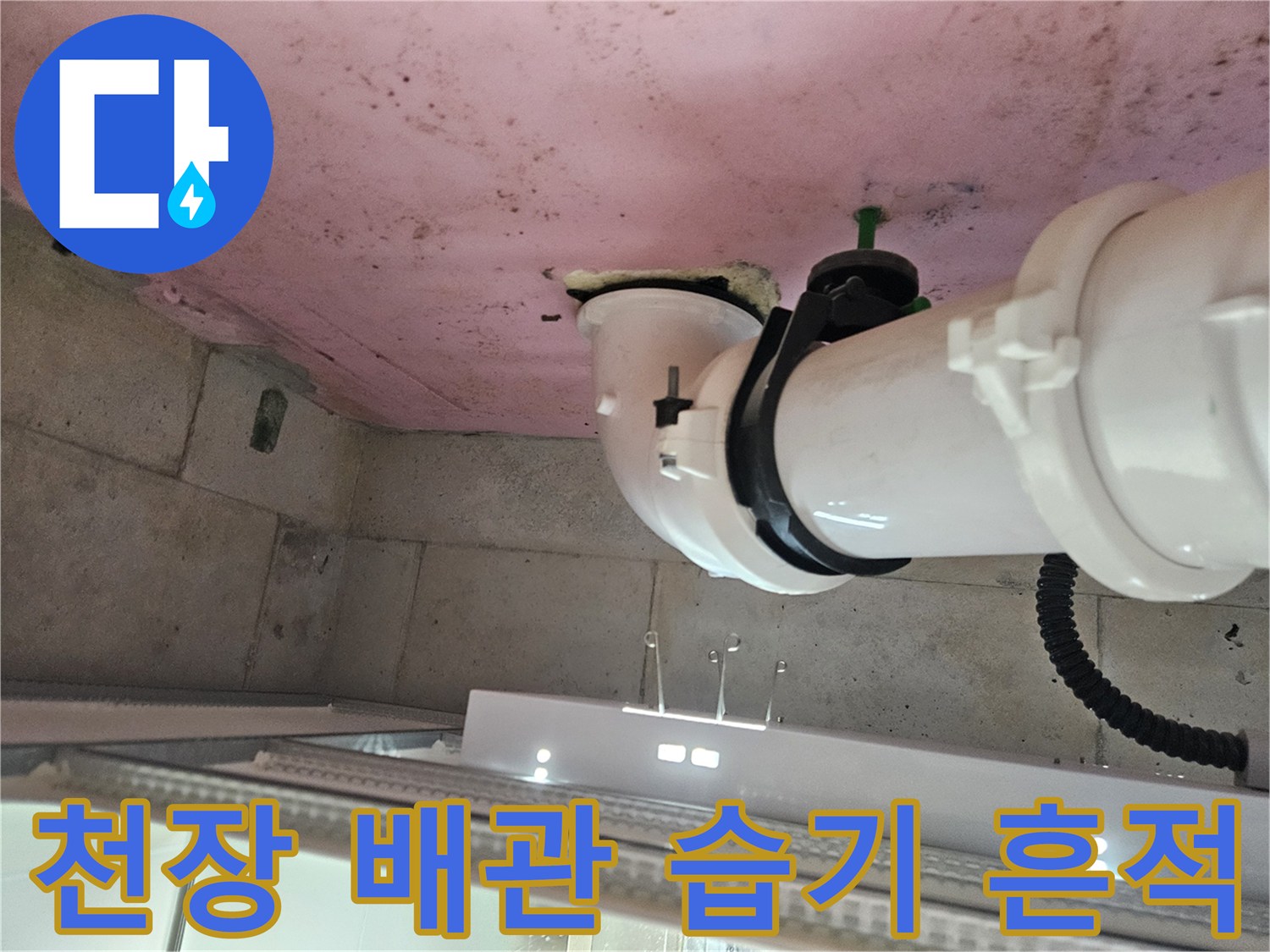 화장실 천장 내부-배관 주변의 젖은 얼룩과 오염 상태