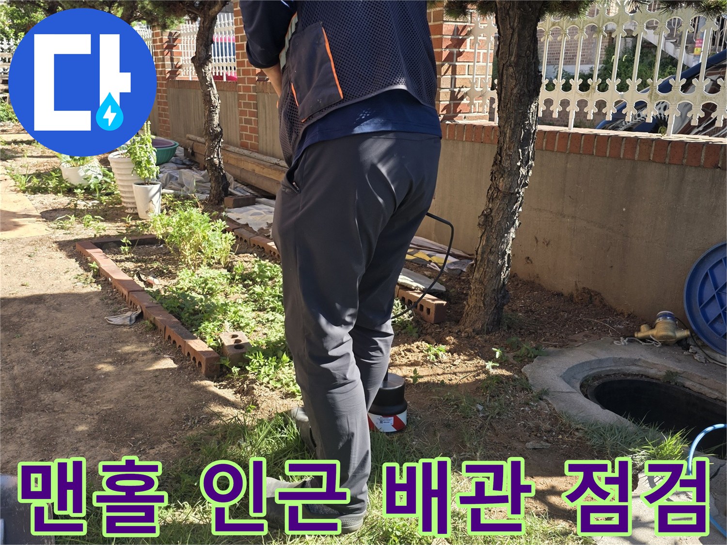 원당동 마당 나무 주변의 젖은 토양과 맨홀 근처 배관 상태