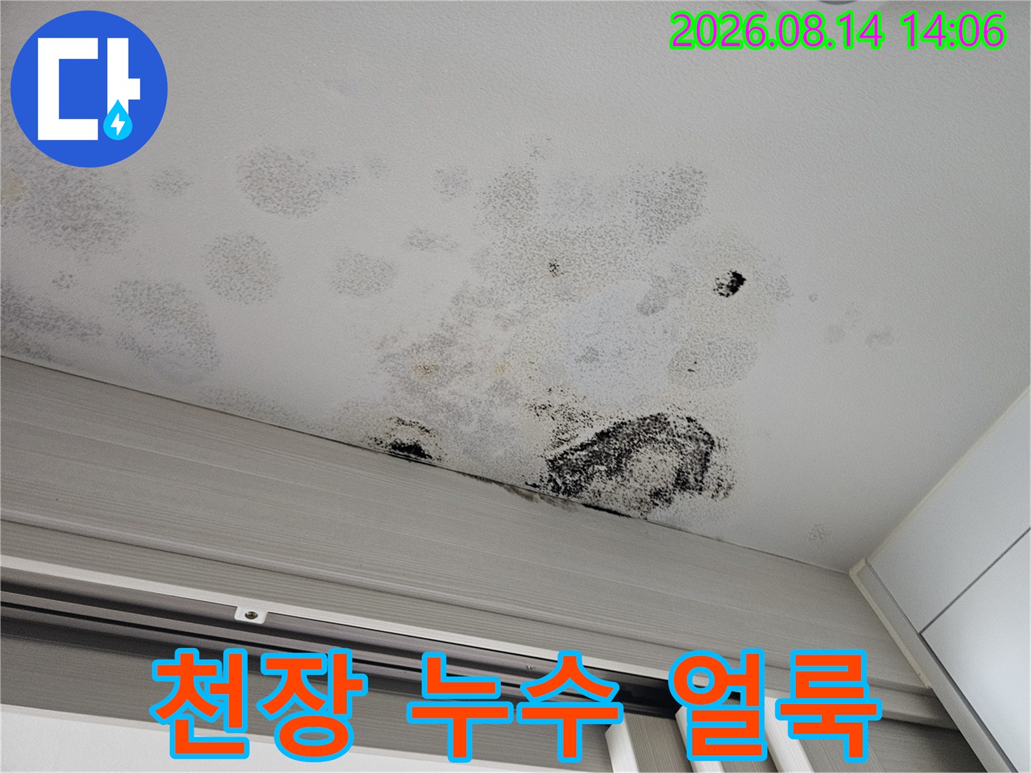 안산 단원구 아파트 중문 천장의 누수 흔적과 곰팡이 발생 상태