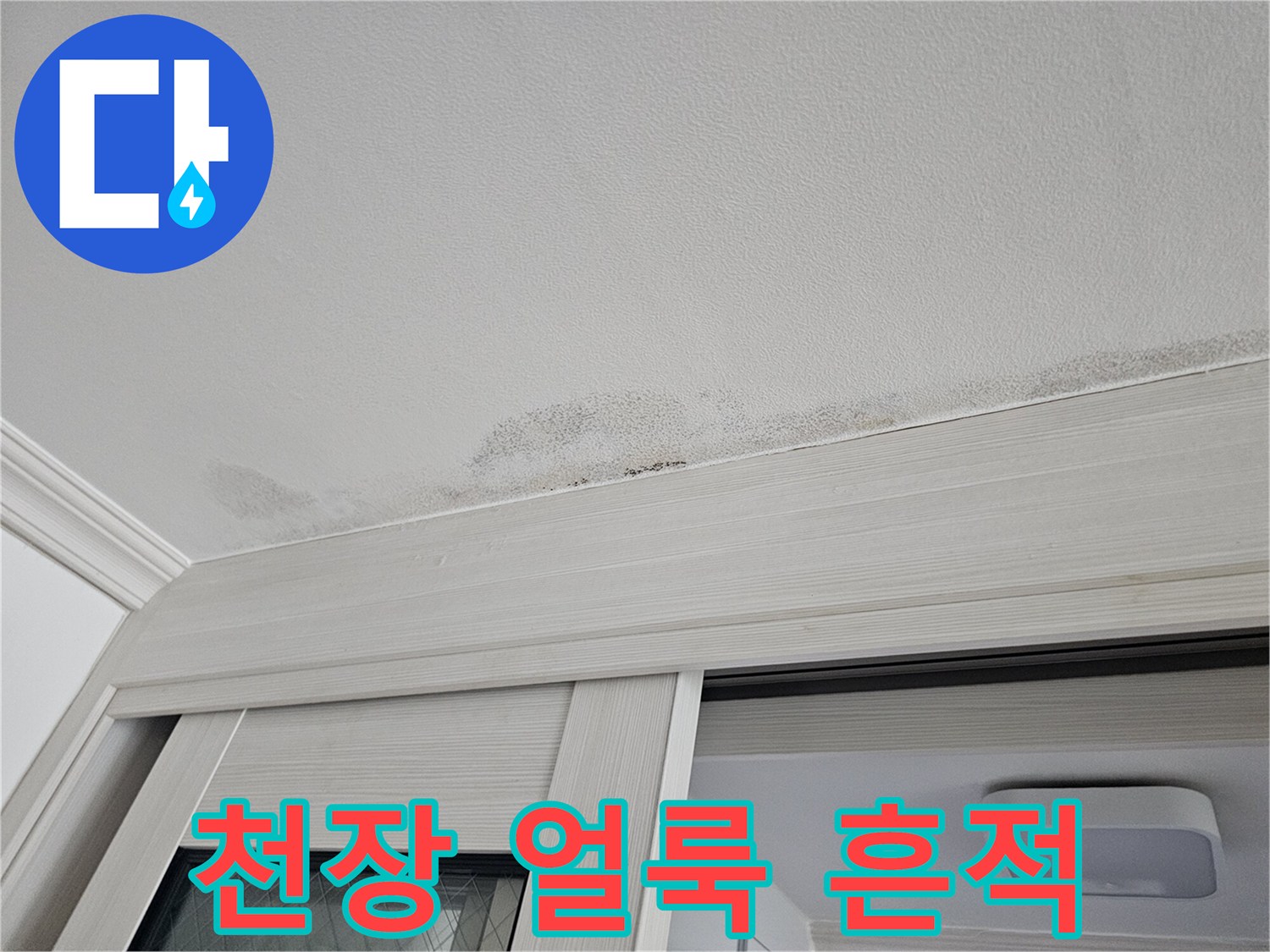 안산 단원구 현관 중문 천장의 누수 얼룩과 곰포 발생 부위