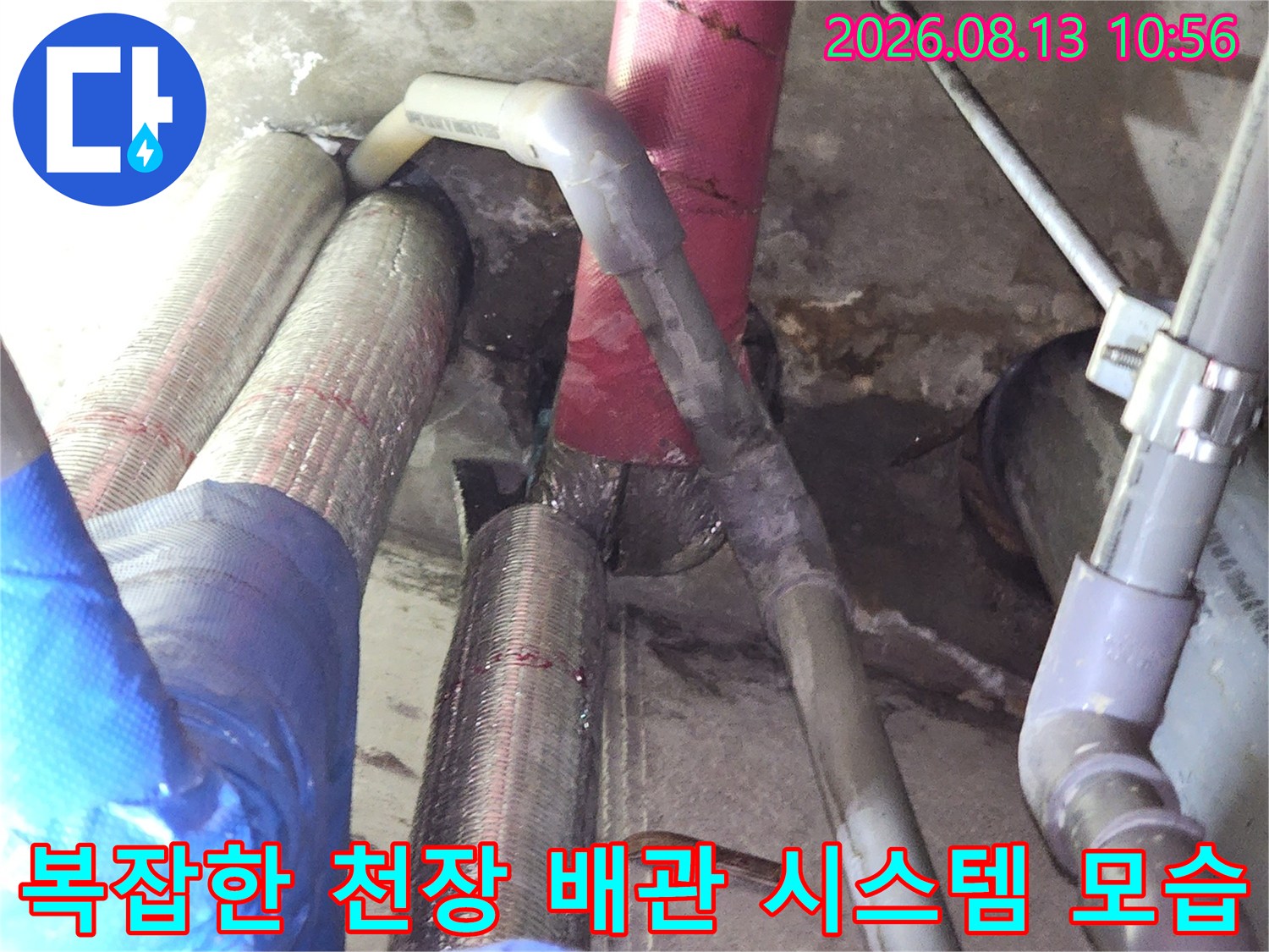푸른색과 분홍색 보온재가 씌워진-천장 내부의 복잡한 배관망