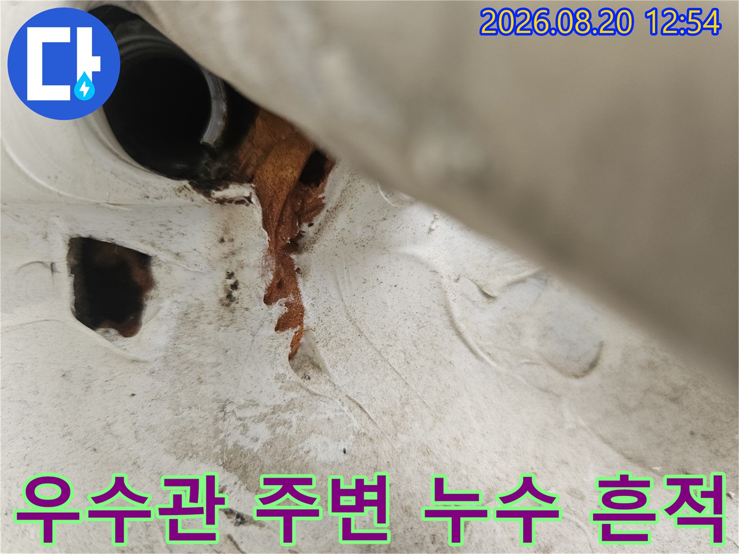 분당 정자동 현장의 우수관 주변 배관 틈새와 갈색 얼룩 발생 상태